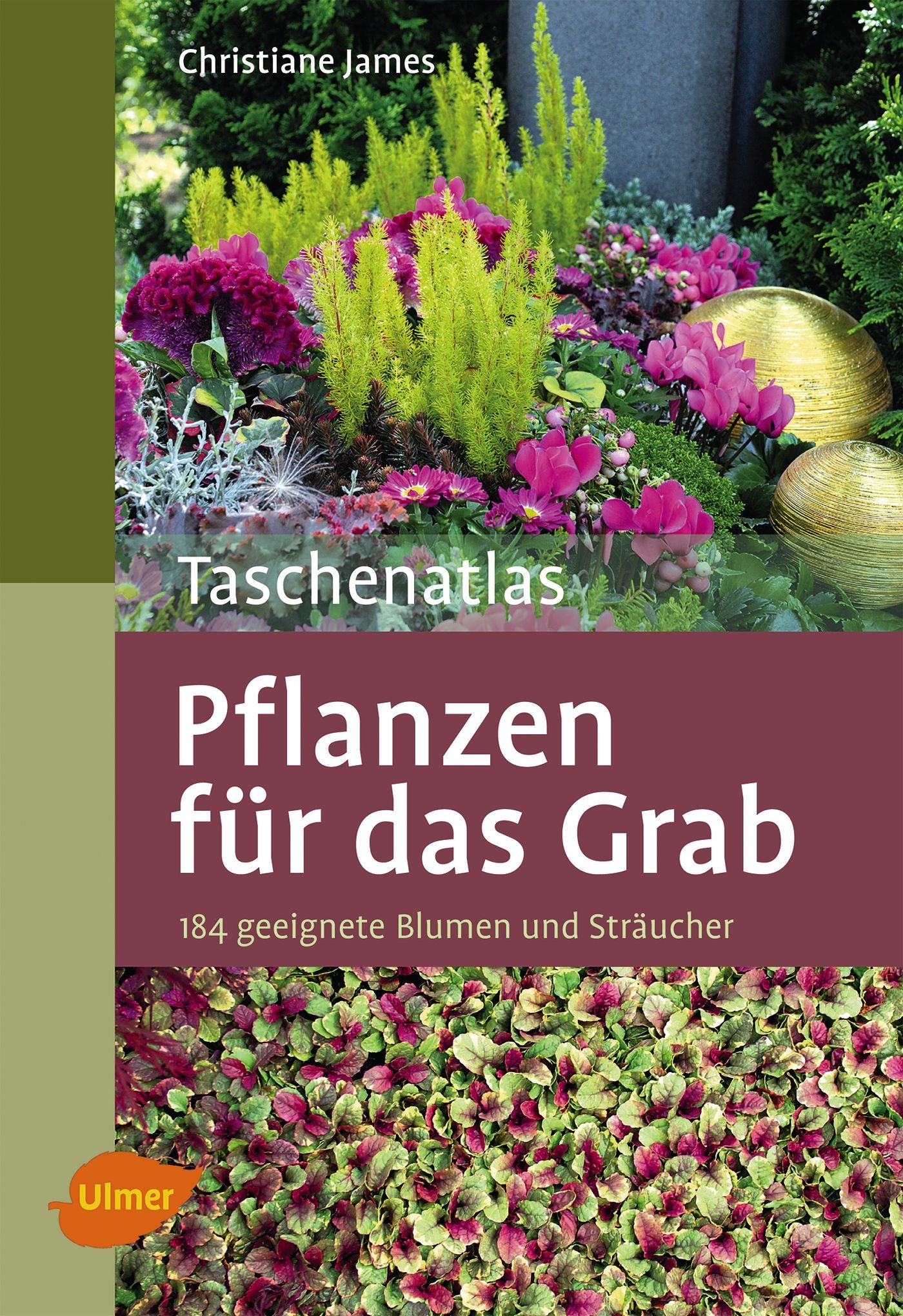 Taschenatlas Pflanzen für das Grab: 184 geeignete Blumen und Sträucher : James, Christiane Bücher