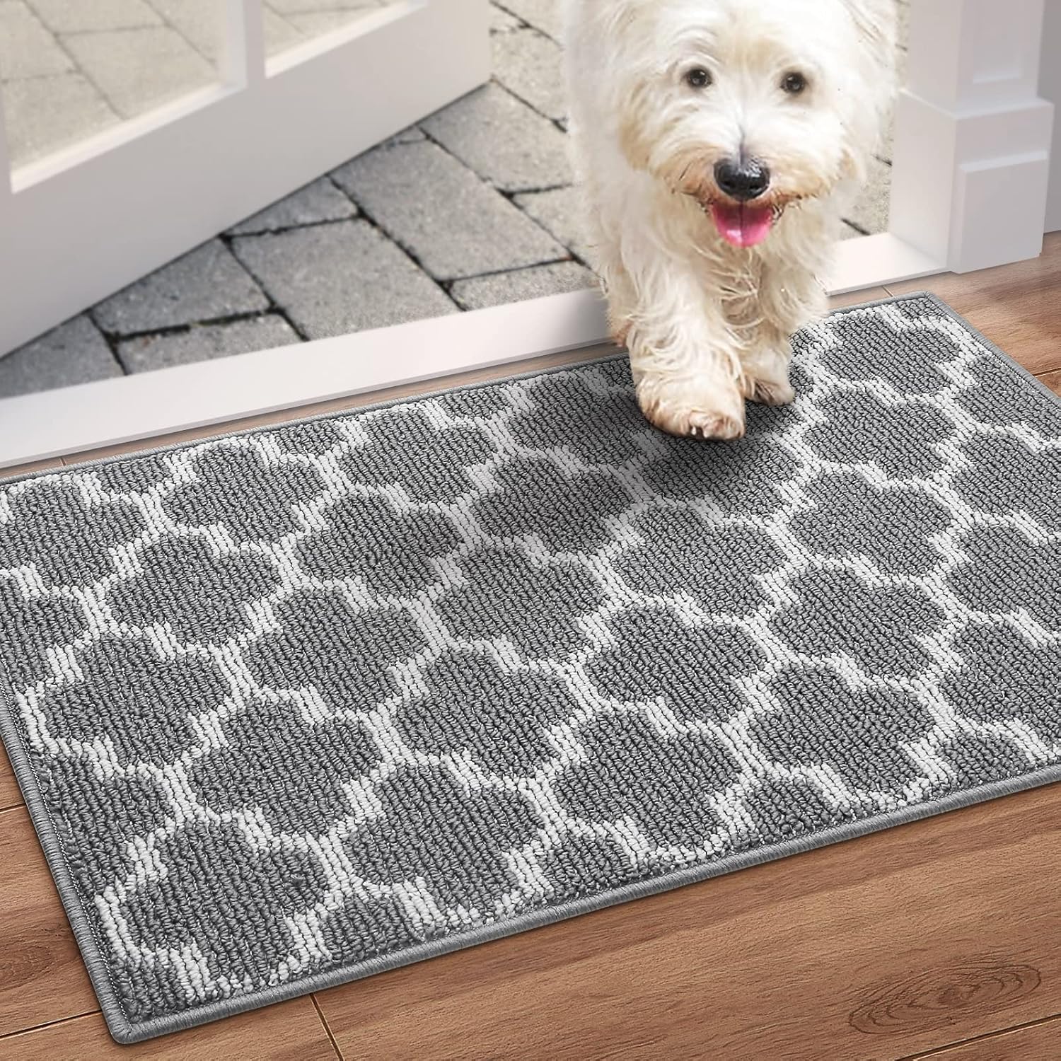 WISELIFE Door Mat Indoor Outdoor Floor Mat,Non-Slip Absorbent Front Back Doormat Entryway Rugs,Low Profile Resist Dirt Door Mats for Home,Entrance,Garage (20"x32", Grey)