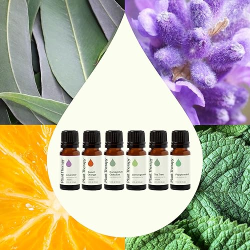 Miniatura 4 de Plant Therapy Breathe Easy - Juego de aceites esenciales, lavanda, eucalipto, menta, citronela, naranja dulce, árbol de té, 100% puro, aromaterapia,