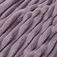 Vista 250 de Bedsure GentleSoft Twin Blanket for Couch - Cozy Soft Blankets for Women, Cute Small Fleece Throws for Girls, Light Grey, 60x80 Inches