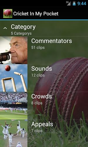 Cricket In My Pocket – vue 4