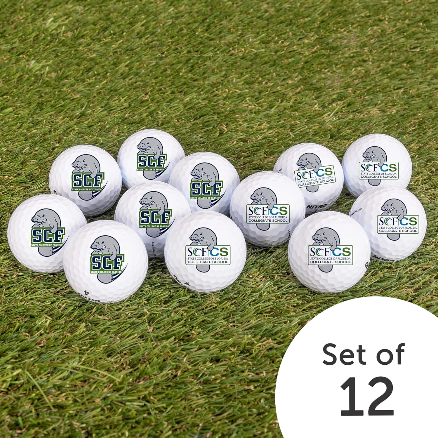Desert Cactus State College of Florida Golf Balls 12 Pack – SCF Manatees Full Color Dozen – Officially Licensed Sport Team Accessory