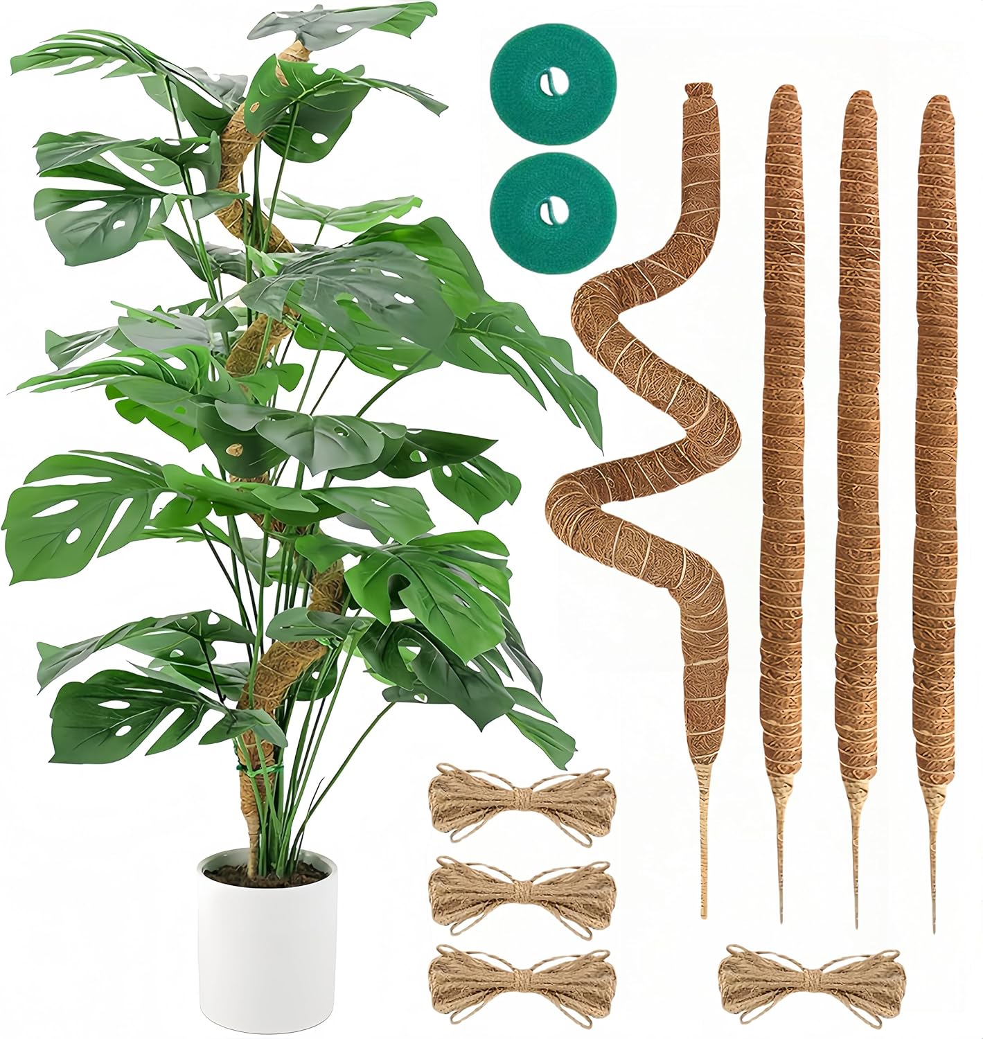 Moss Pole,48'' Moss Pole Monstera Plant Support. (4 × 48 Inch)