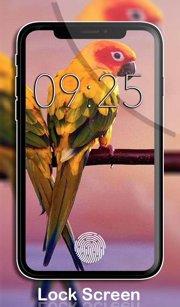 Birds Wallpapers HD & Backgrounds app | No Ads | Lock & Home Screen ...