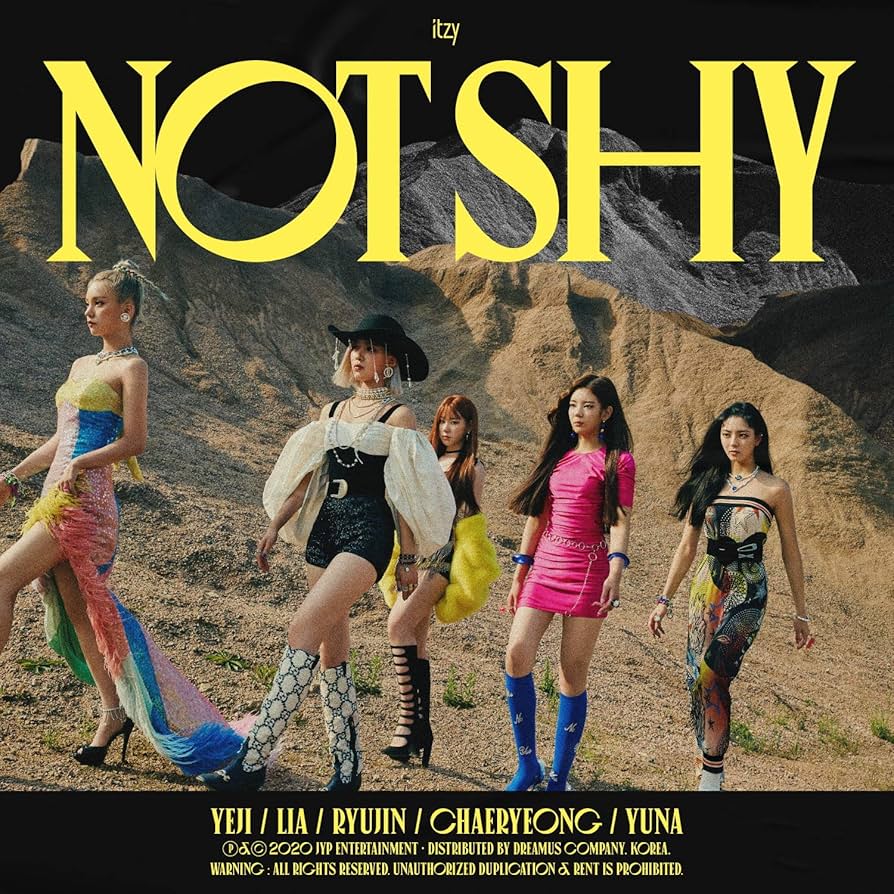 itzy 全員　サイン　アルバム　notshy itzy 全員 サイン アルバム notshy ITZY - NOT SHY