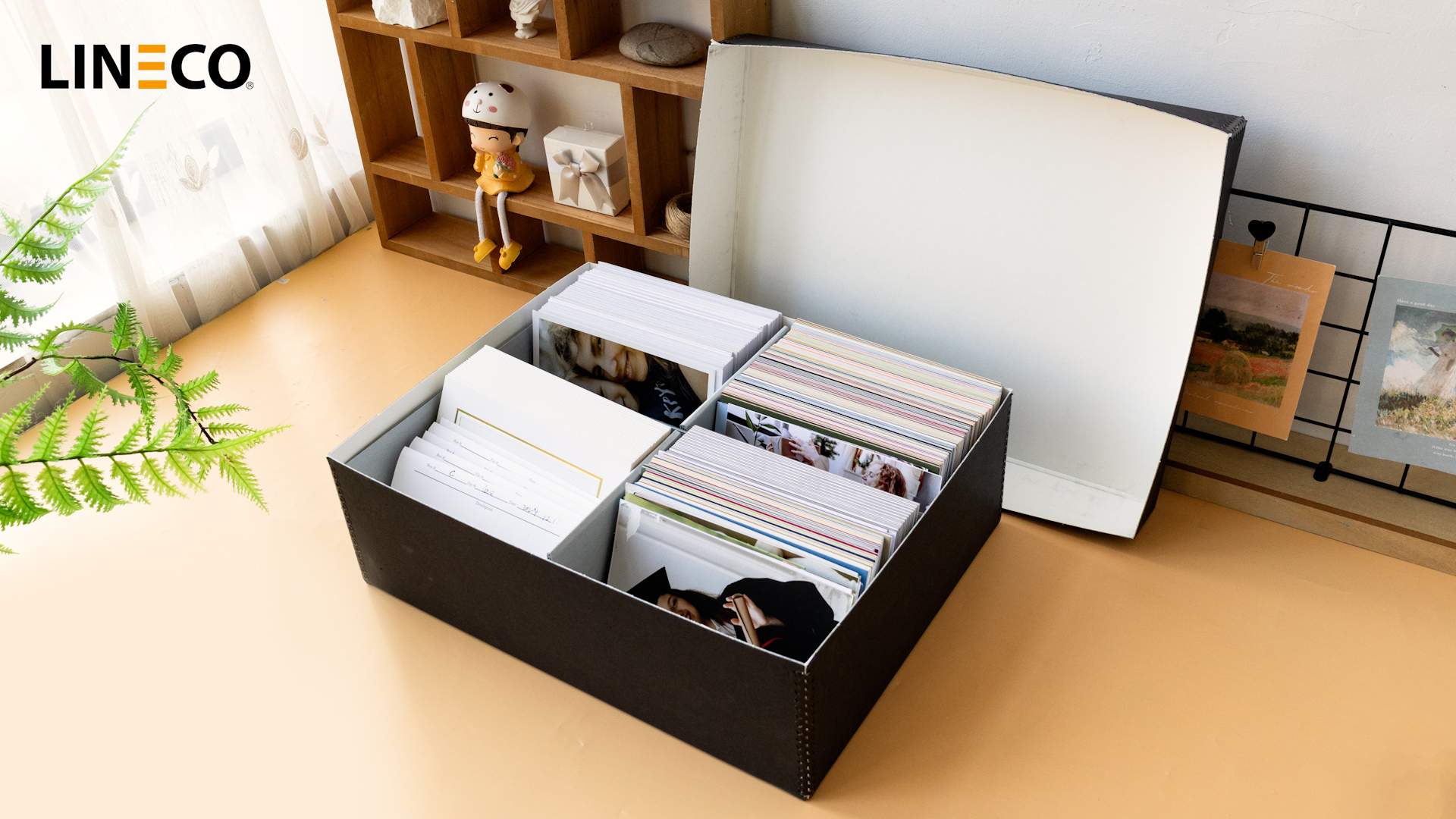 Amazon.com: Lineco, 4x6 Photo Storage Box, Archival Pictures