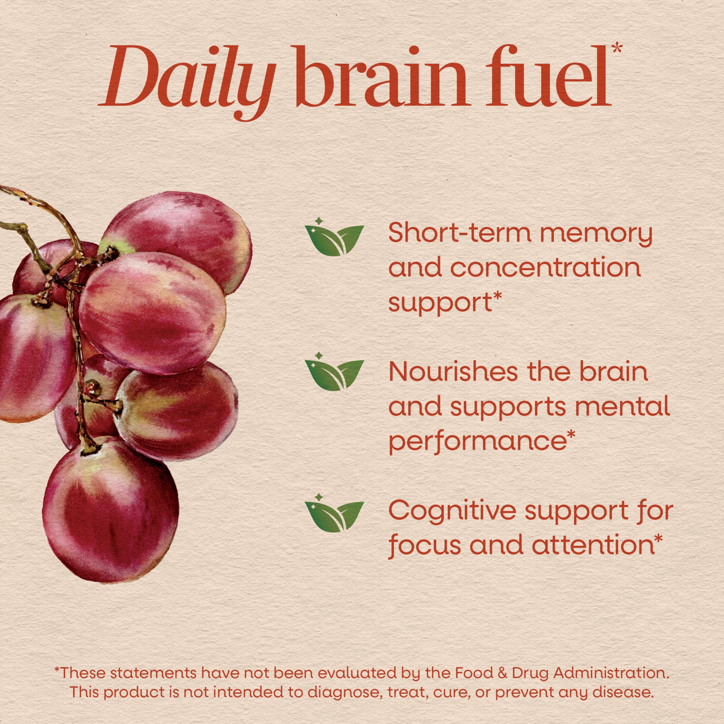 Nature's Way Brain Fuel Gummies, Cognigrape, Focus & Memory Support*, 60 ct — Amazon image 3