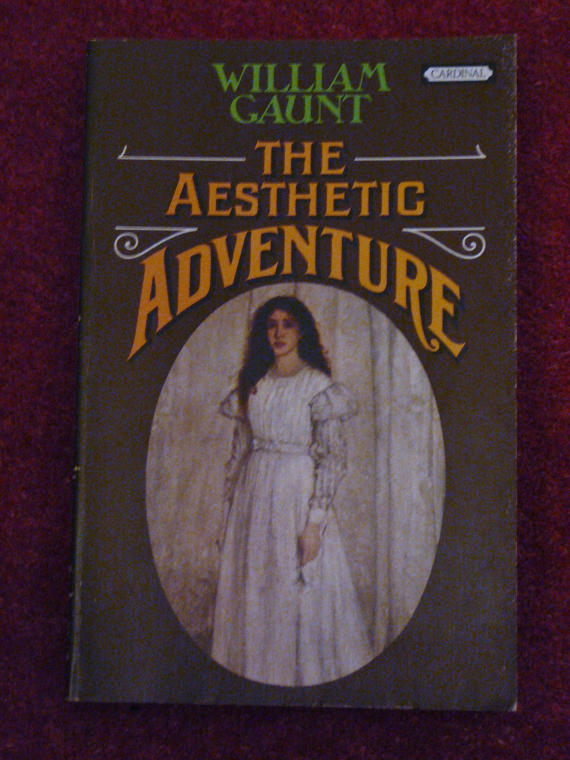 Buy Aesthetic Adventure — BookShops.in