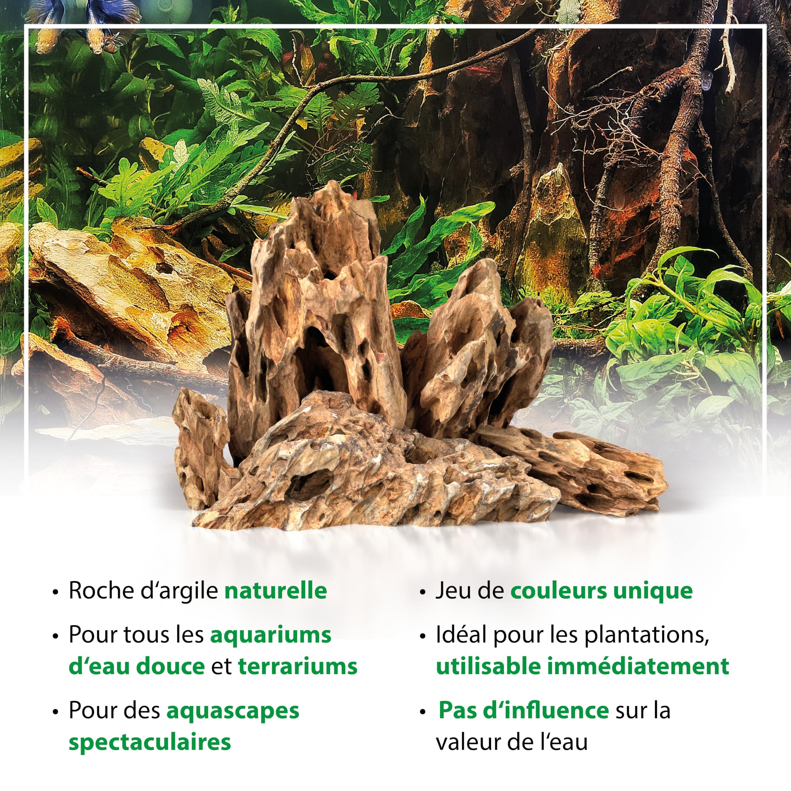 ARKA Pierres Dragon Naturelles 10 kg mySCAPE décor Aquarium – Pierres aquascaping 10–30 cm pour paysages spectaculaires – sans Bords tranchants, pour Plantes & crevettes – Aussi pour Terrarium