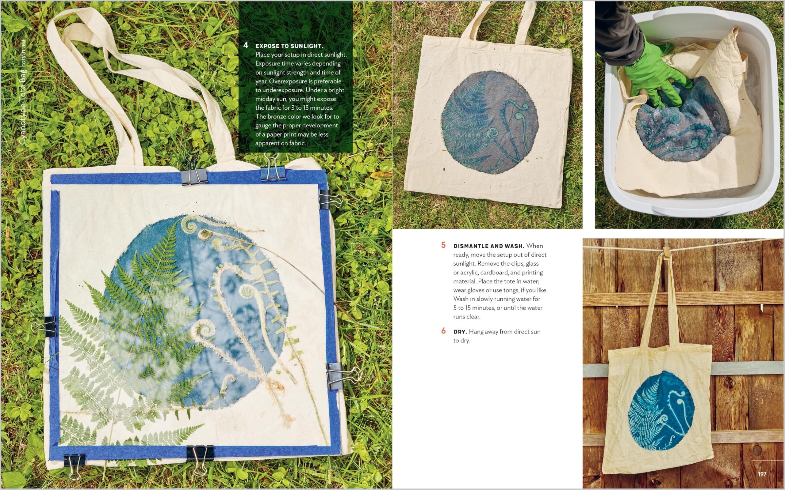 Printing with the Sun: Capturing the Beauty of Nature with Cyanotypes