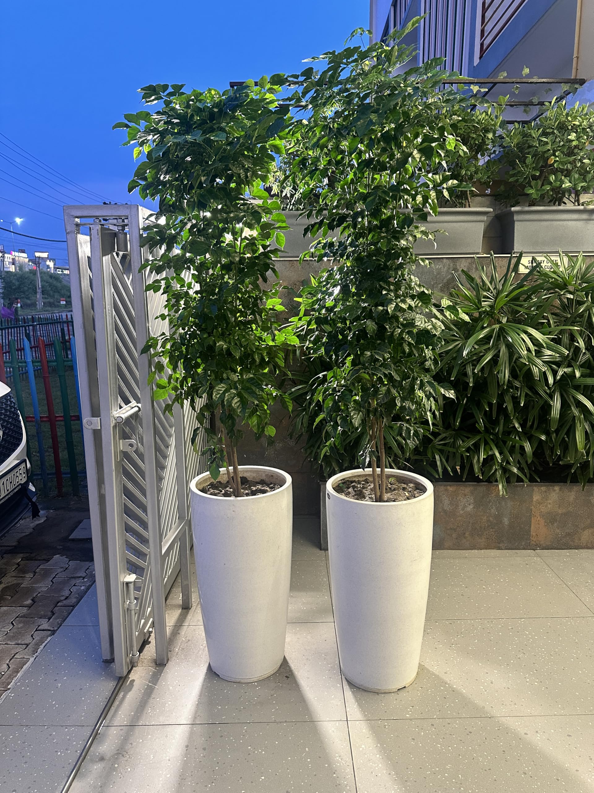 Decora Gleyz Tall Pot - Stone White (Small) -6 Decora Gleyz Tall Pot - Stone White (Small) -6