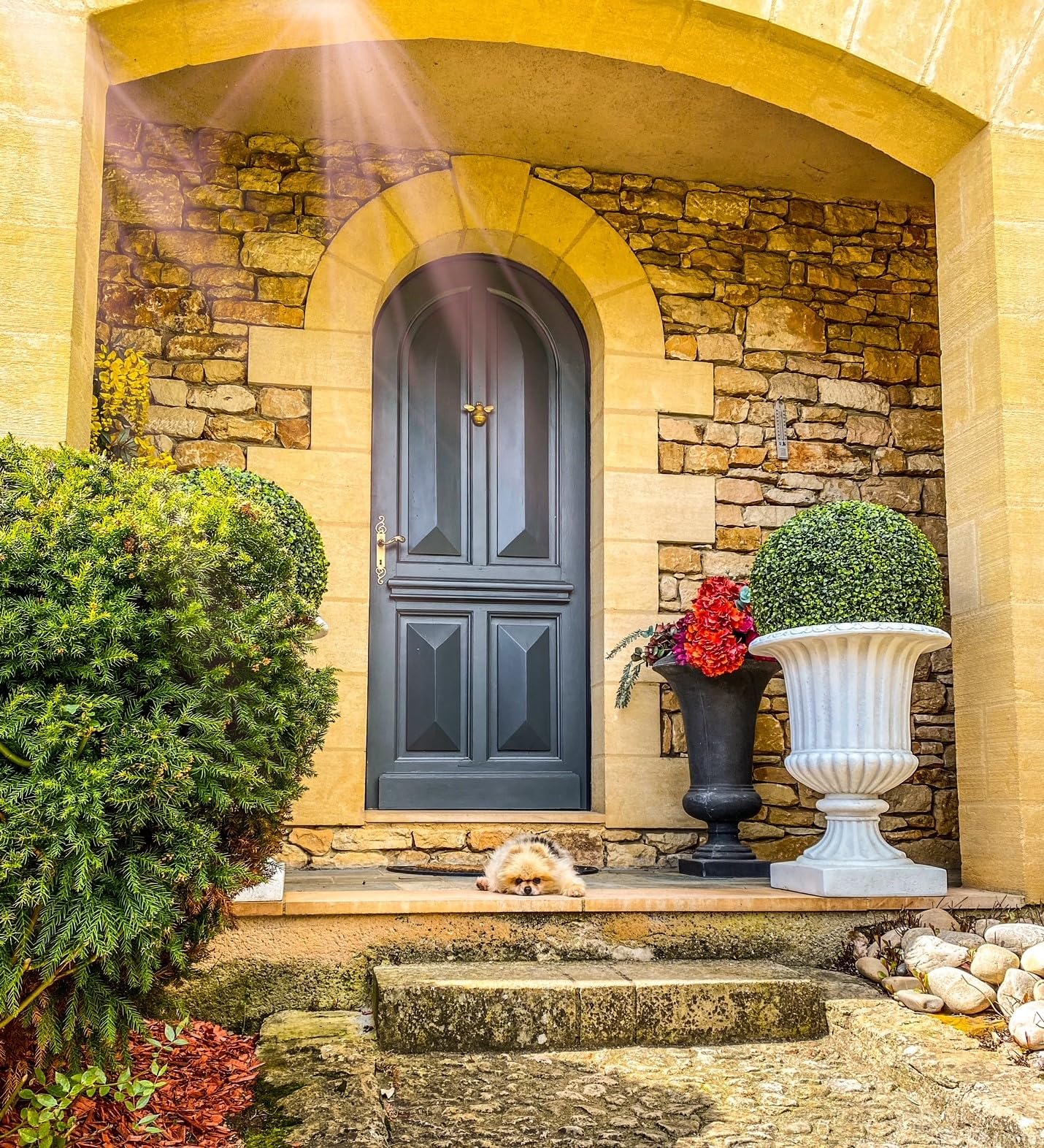 Gold Bee Heurtoir de porte d'entrée | Heurtoir en laiton massif poli doré avec plaque de gâche | UPVC | Meubles de porte d'entrée Bumblebee avec un design unique (laiton)