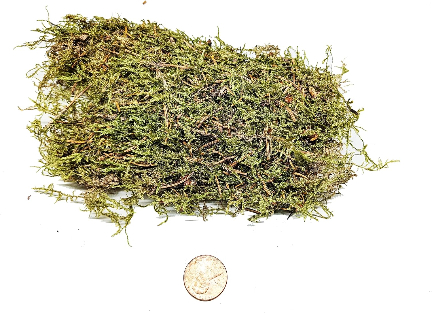Josh's Frogs Dried Sheet Moss (1 Gallon Bag)