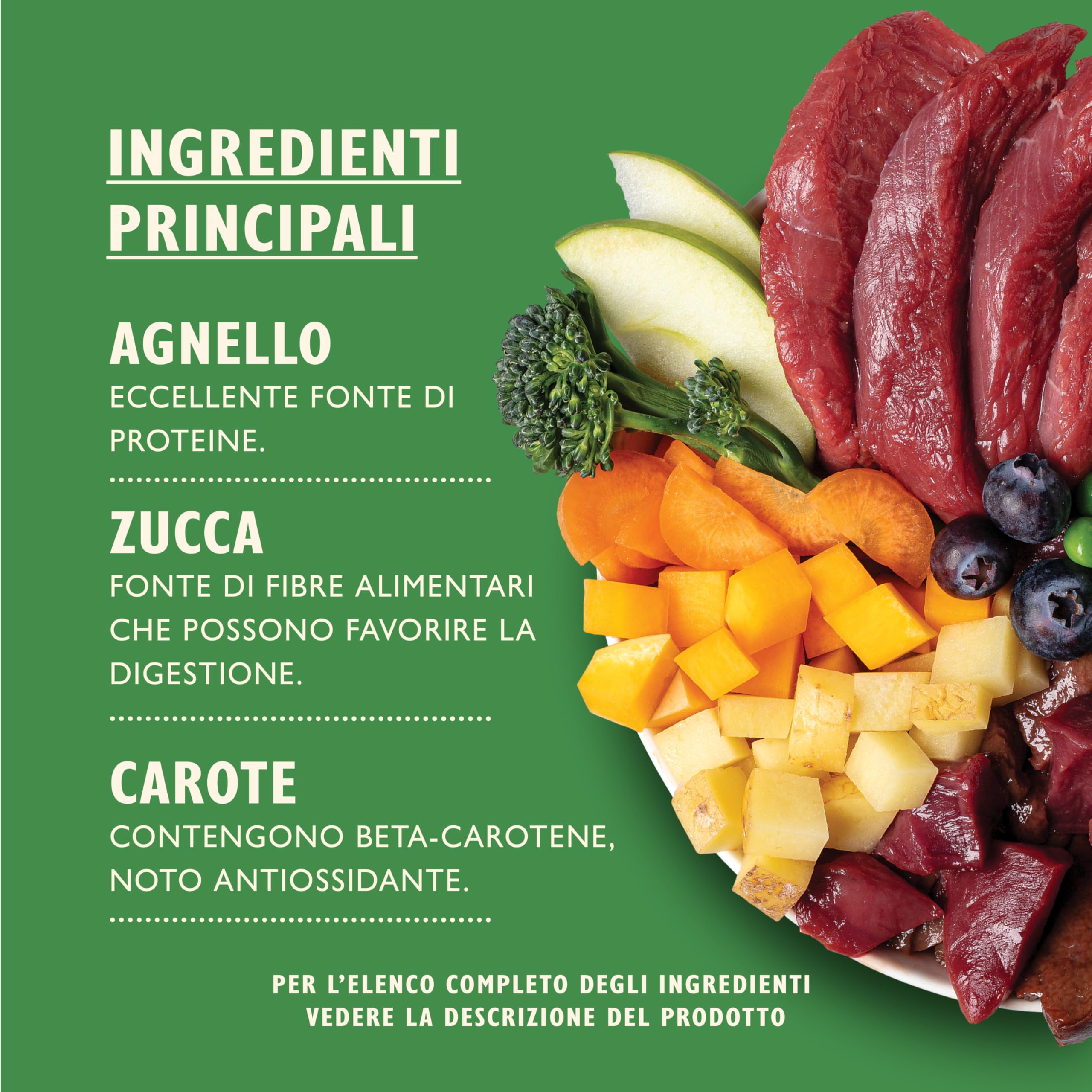 Lily's Kitchen Prodotto con ingredienti naturali Cibo umido per cani Spezzatino di agnello 6 x 400 g