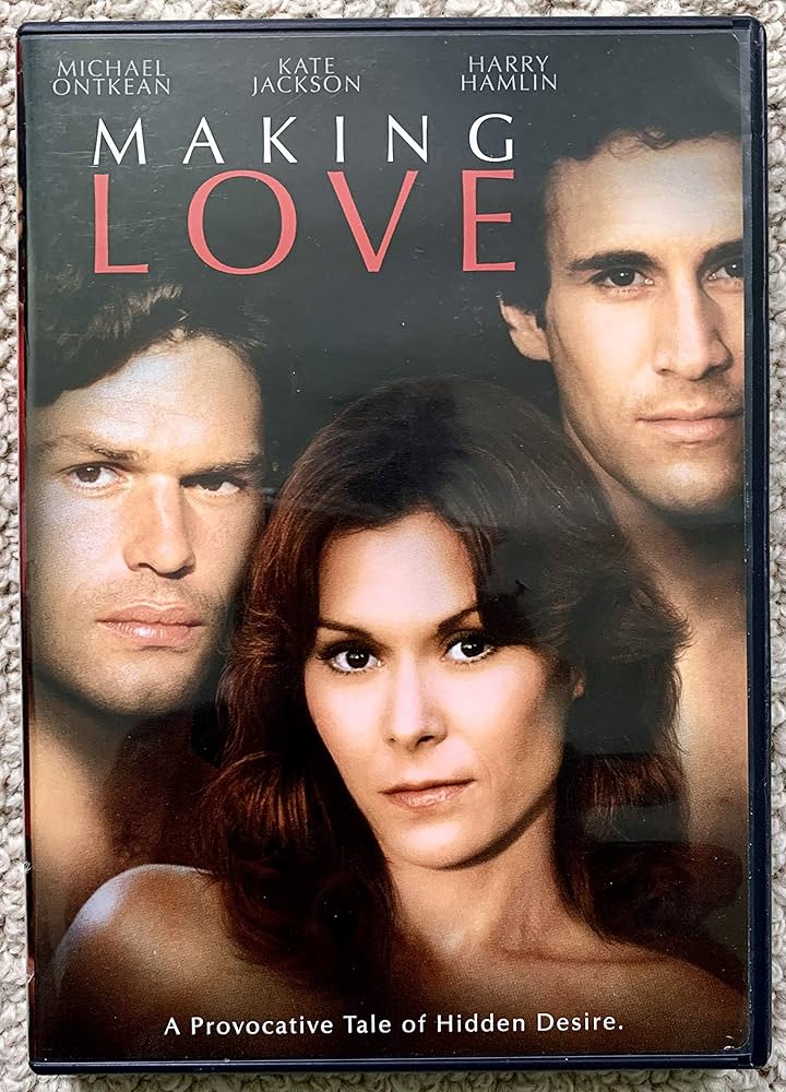 FIRST LOVE　DVD-BOX Well Go USA First Love - Takashi Miike's Noir Yakuza Film