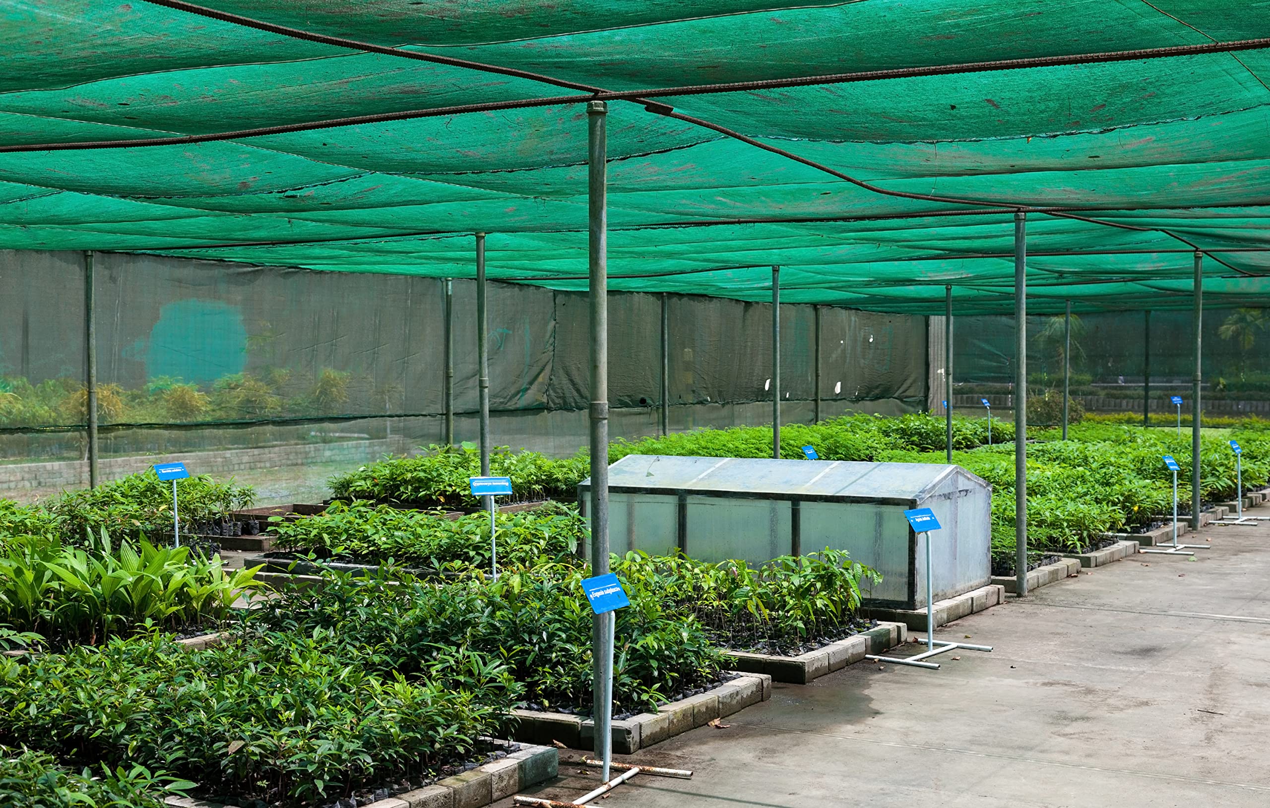 Sichtschutz 60 g/m² – Höhe 150 cm – 25 m – Schattierwert 55% – Sichtschutzstreifen – Für Balkon, Garten, Terassen – Windschutz – Sichtschutzzaun – Gartenzaun – Zaunblende – 1,5 m