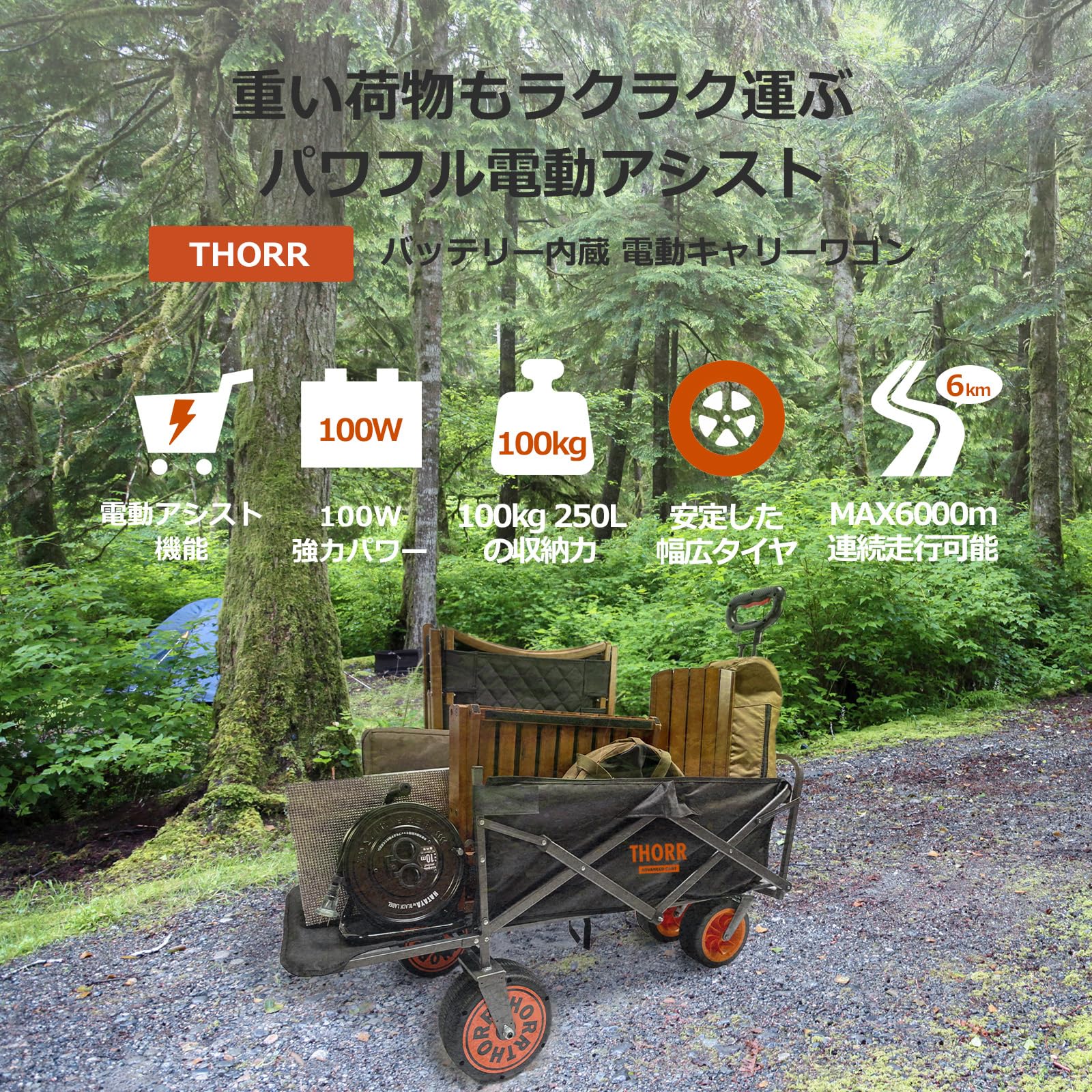 Amazon.co.jp: 【所ジョージの世田谷ベース掲載】【重い荷物もラクラク