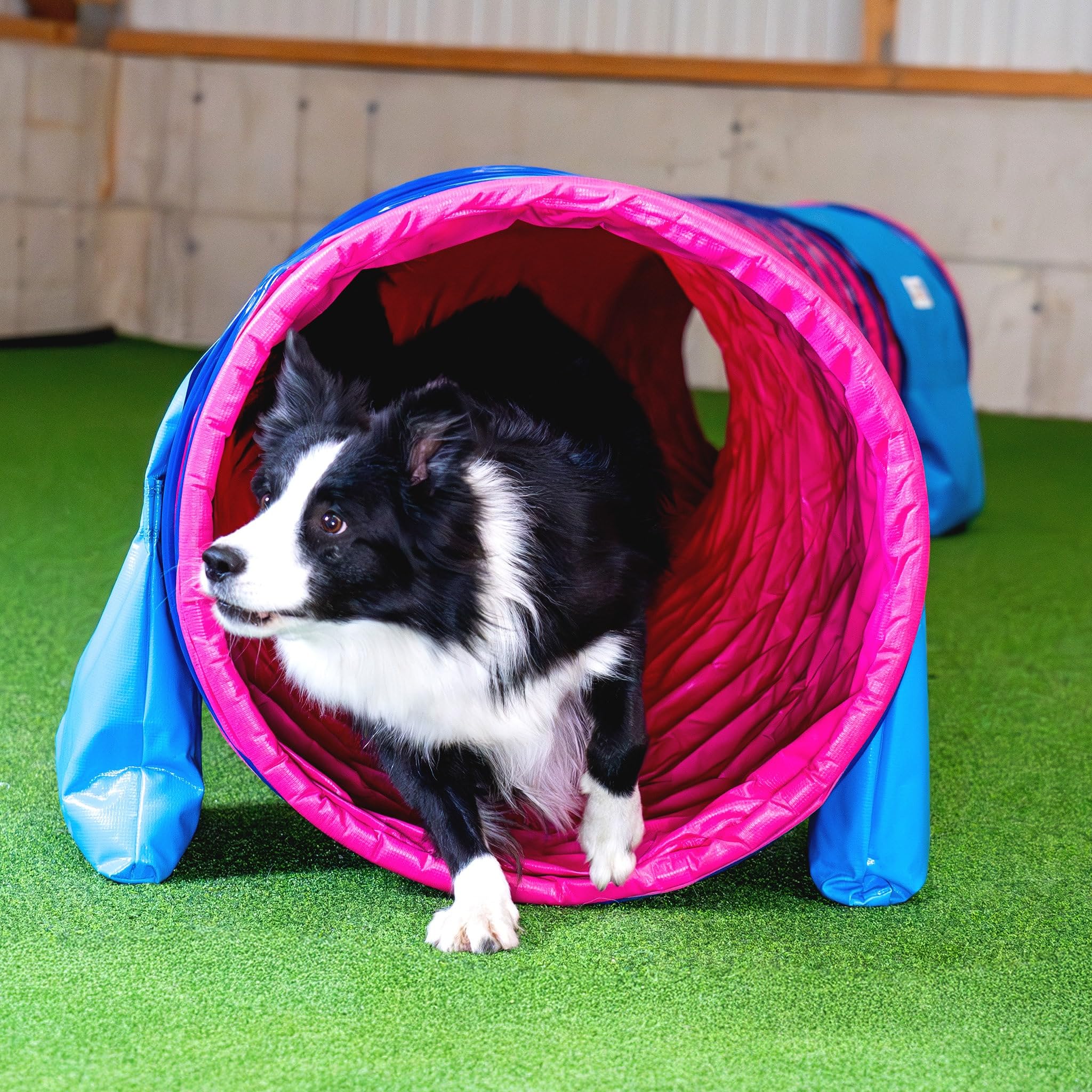 Callieway® Dog Agility tunel profesjonalny / psy tunel 5 m długości / 60 cm Ø Agility urządzenie (5 m, fuksja)
