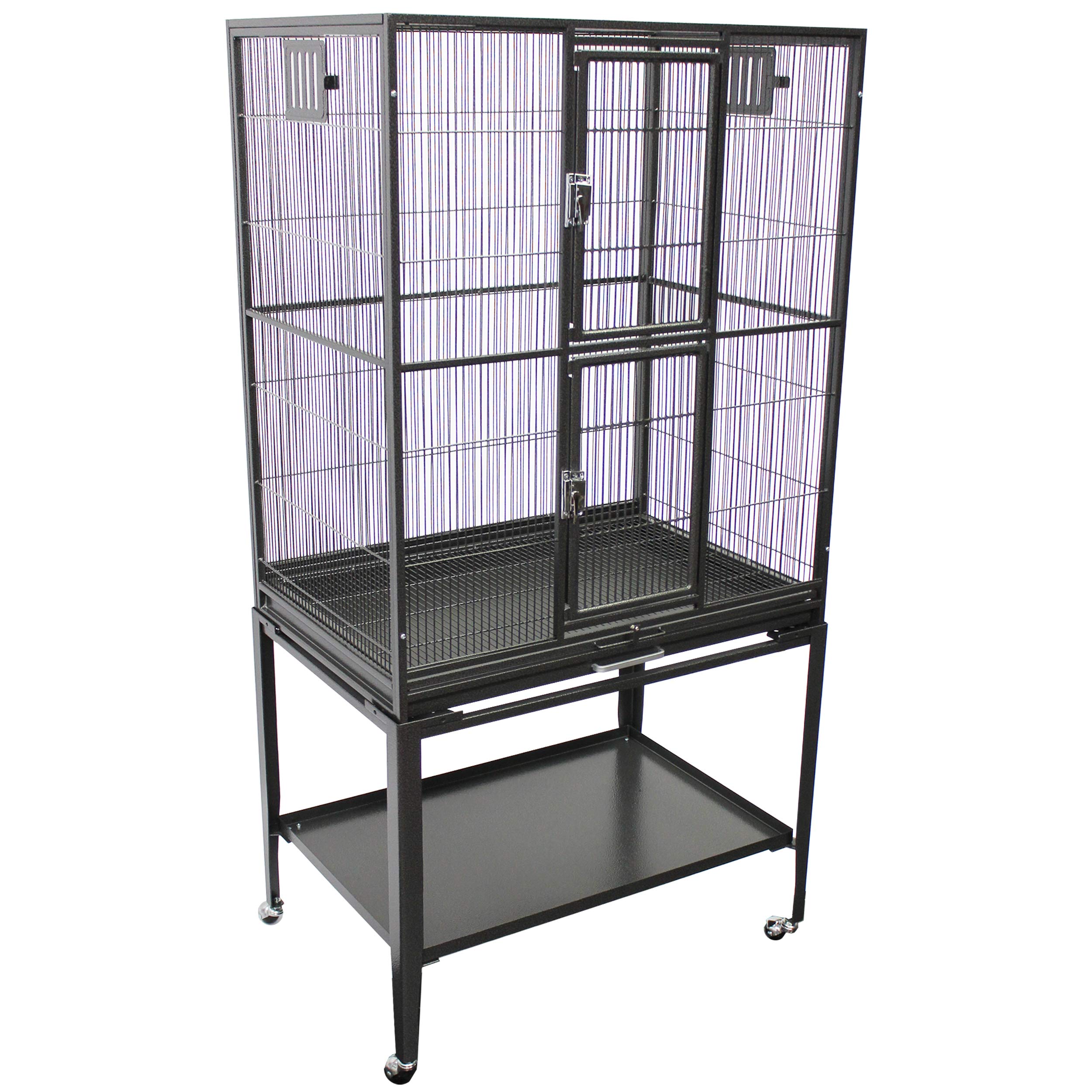 Amazon.com : Brisbane Cage & Starter Package for Sugar