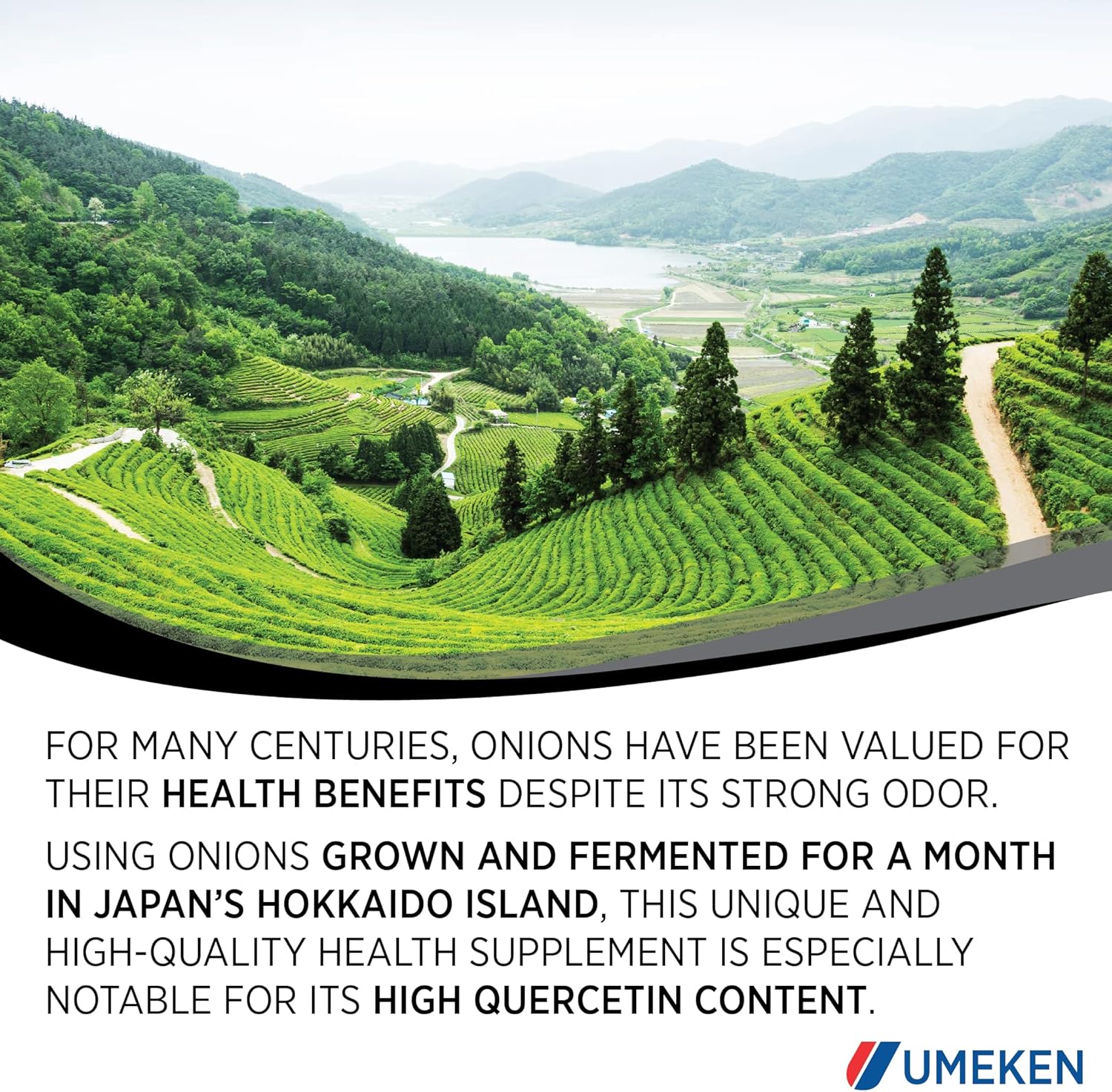 Umeken Black Onion - Fermented Concentrate with Quercetin, Antioxidant, Dietary Supplement, 1333 Count Tablets, 2 Pack