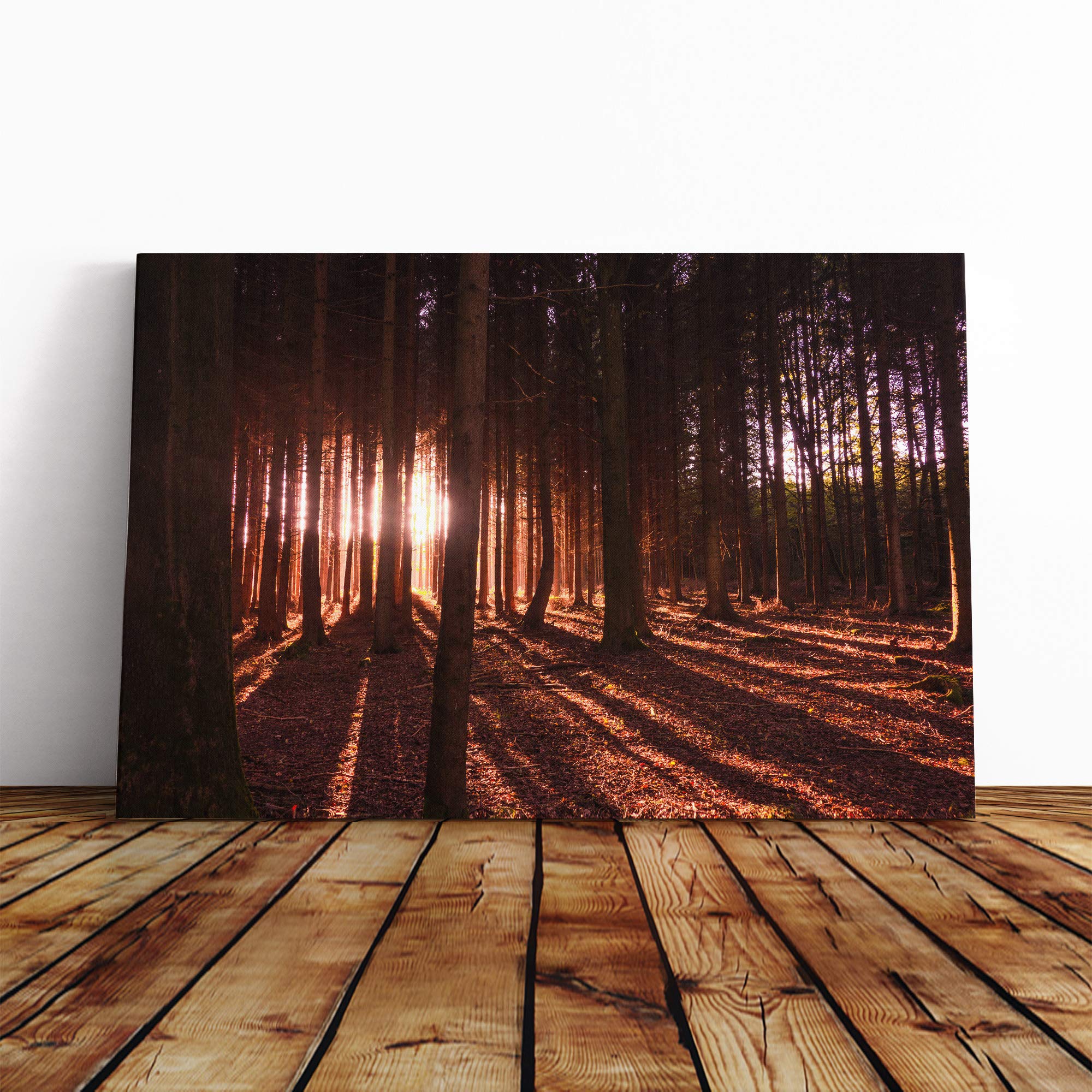 Landscape Forest Woodland (4) Canvas Print | Gallery Wrapped 30mm Frame Wall Art | 30x20 inches | Ready to Hang | Modern Landscape Picture | Living Room Bedroom Lounge Office