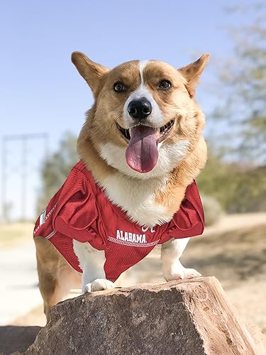 Miniatura 4 de NCAA College Alabama Crimson Tide - Camiseta de malla para perros y gatos, talla S. Camiseta con licencia para perros grandes con tu equipo favorito