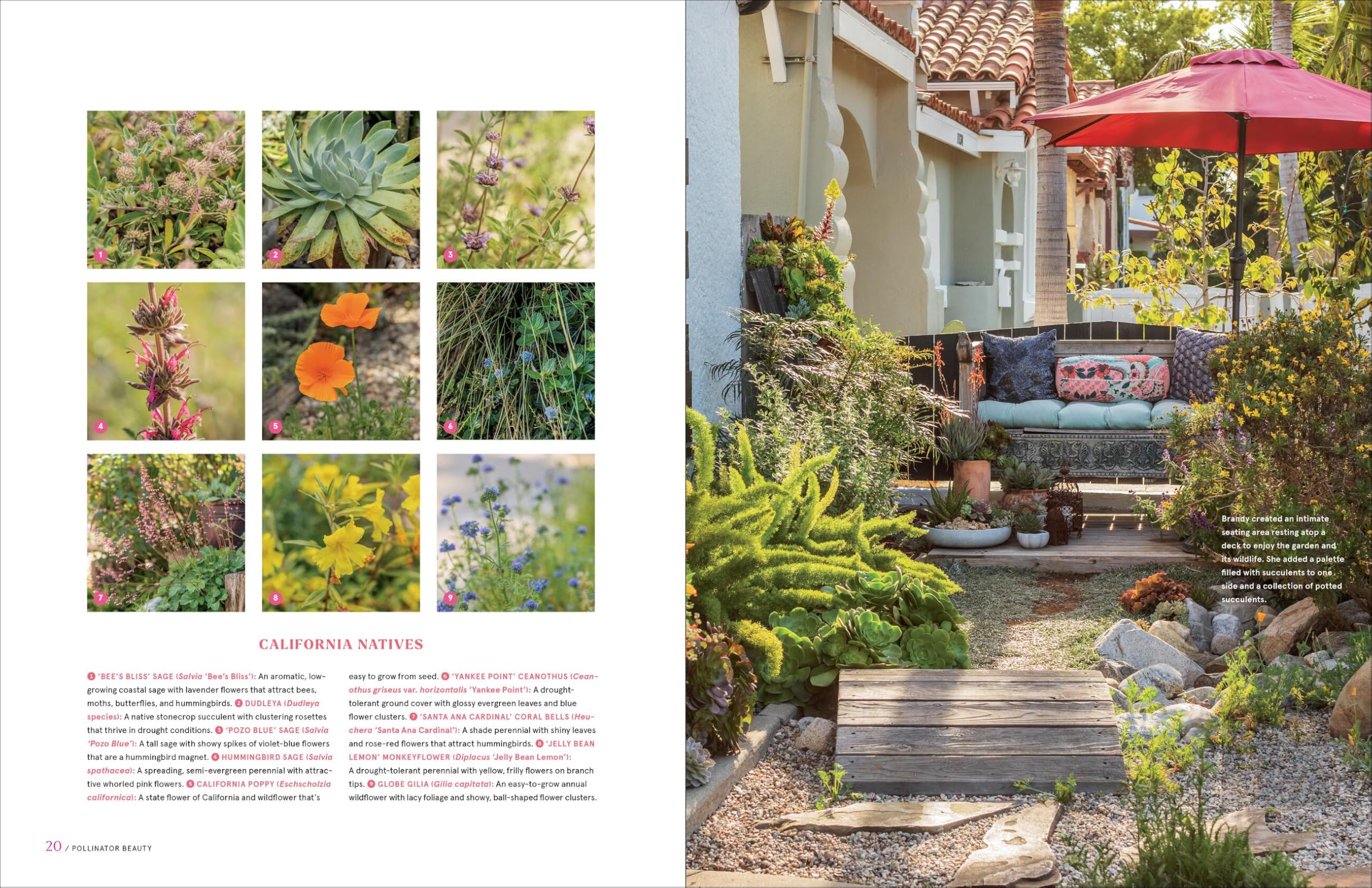 Garden to the Max: Joyful, Visionary, Maximalist Design