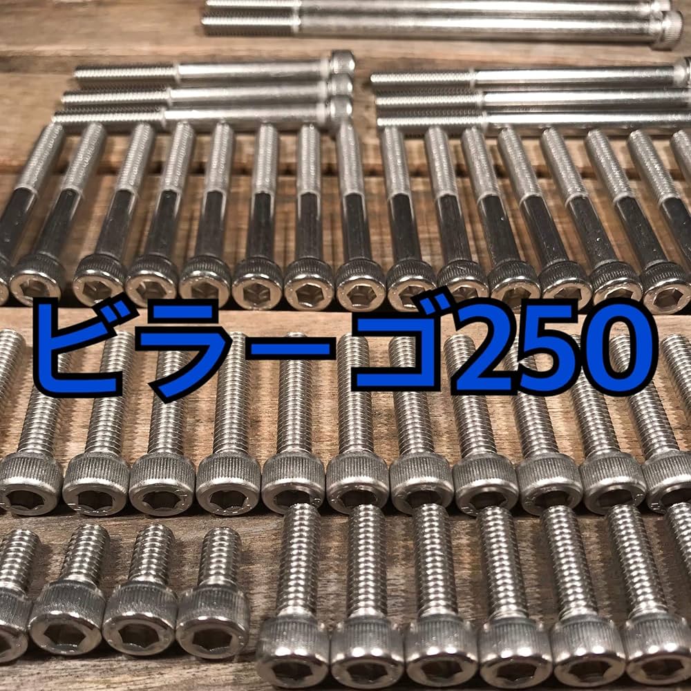 Amazon.co.jp: ステンレス製 ビラーゴ250 3DM 左右エンジン