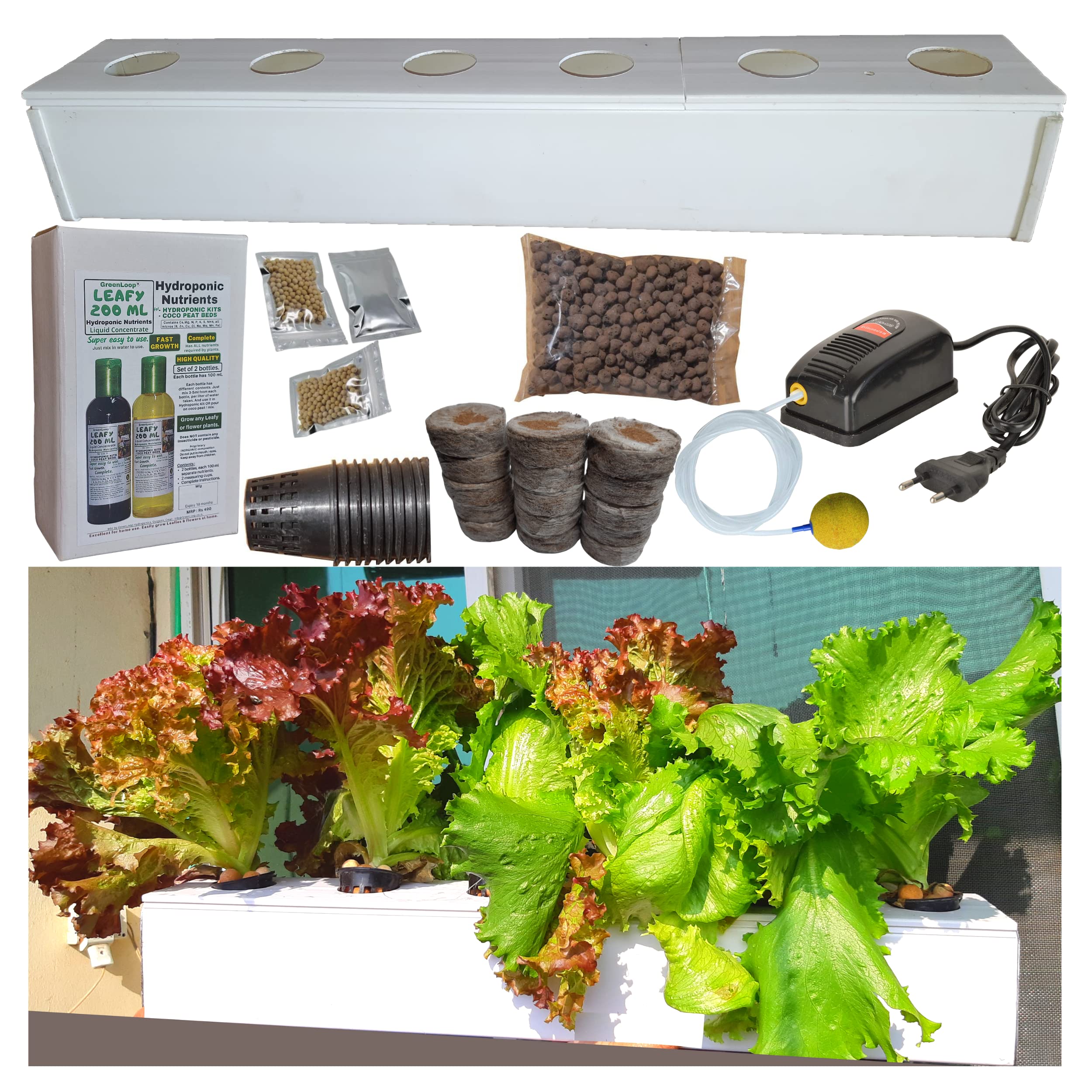 GREENLOOP Hydroponic Kit for Home, Deep 4 inch Depth, Complete-with Air Pump-Nutrients-Seeds-Grow Plugs, for 6 Plants. 2 feet Long : Amazon.in: Garden ...