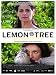 Lemon Tree