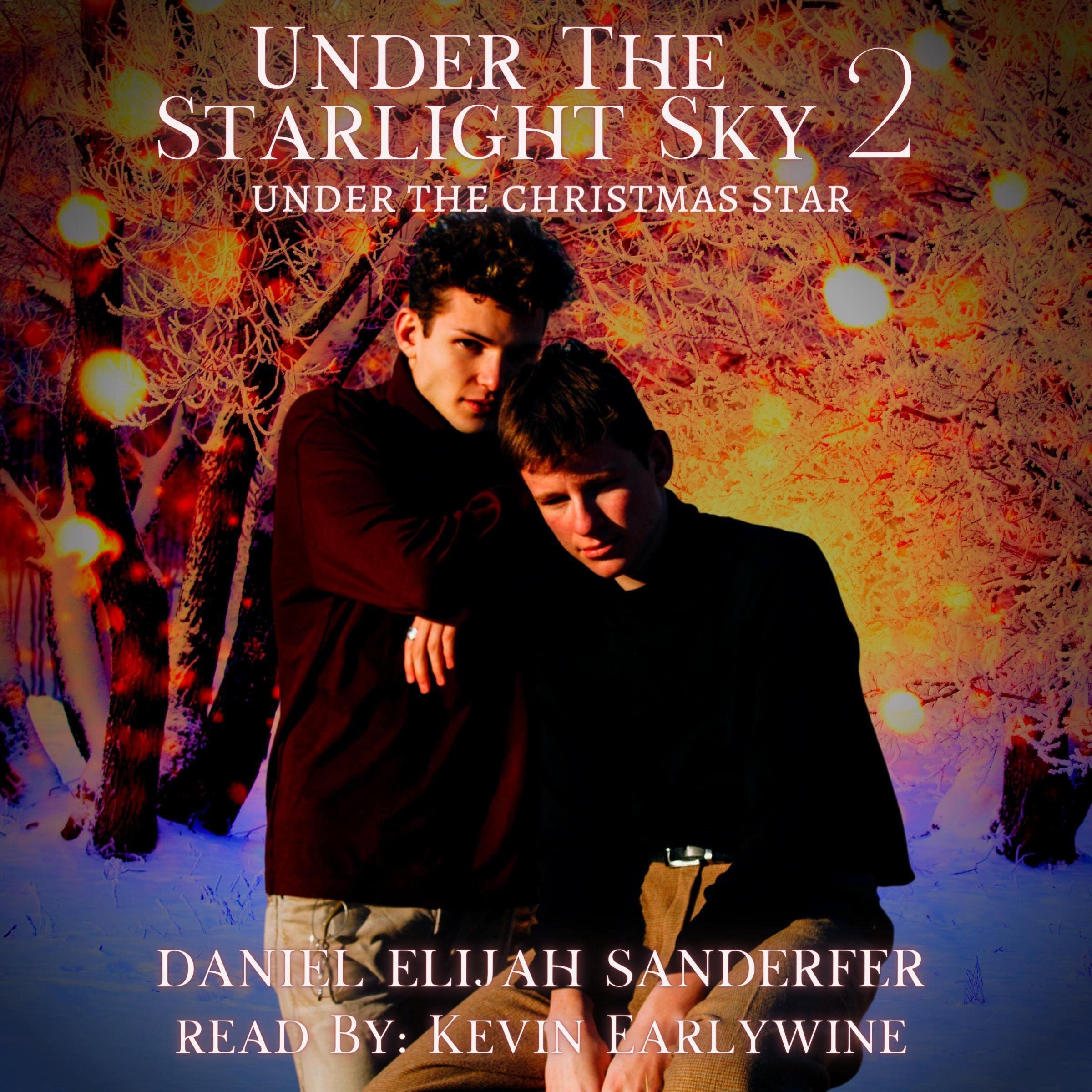 Cover art for Under the Starlight Sky 2: Under the Christmas Star