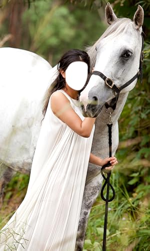 Mulher Com Cavalo Foto Editor