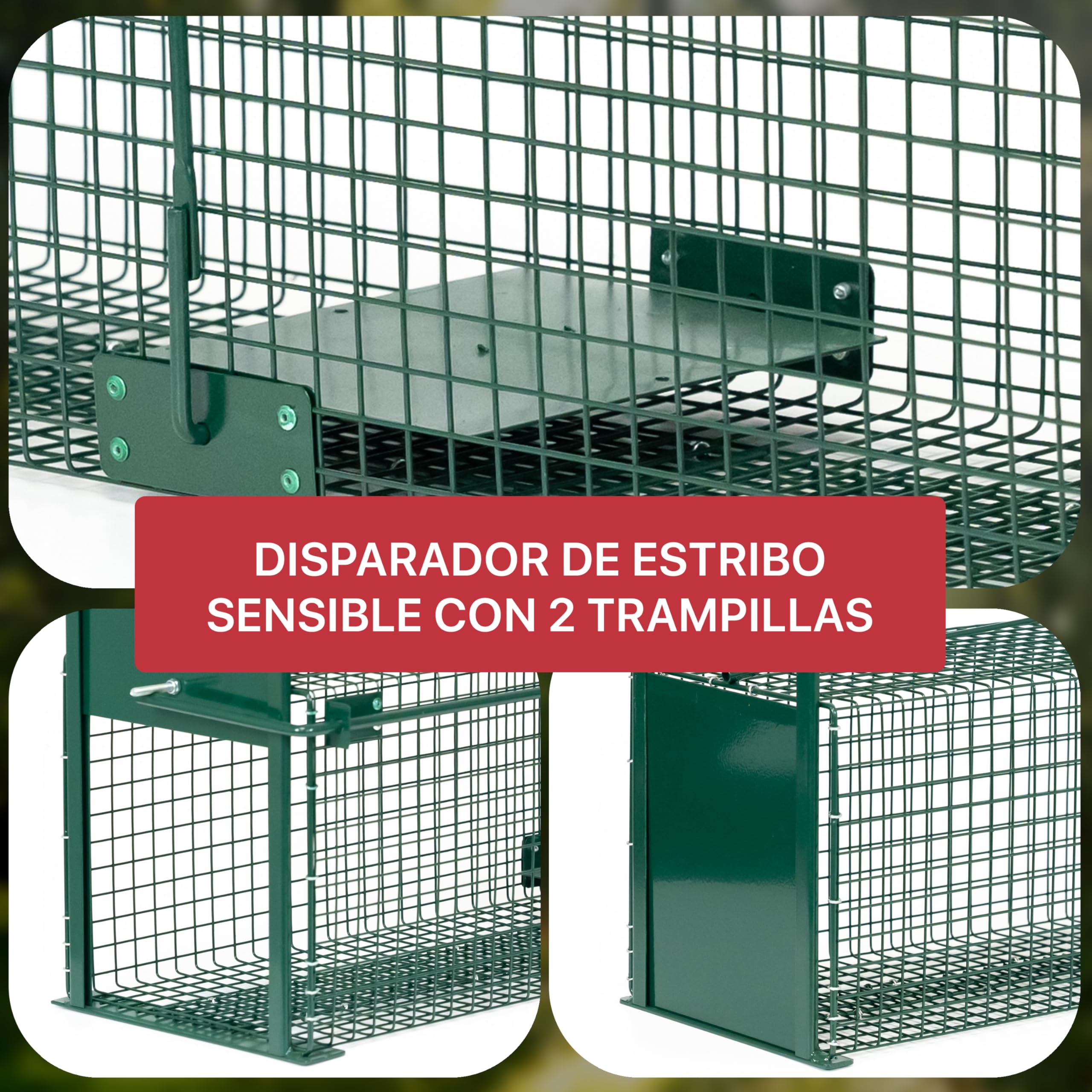 ITA Trampa para Animales Vivos 5007-100x25x25 cm - por Martas Gatos Ratas - 2 Puertas, Resistente al Tiempo, Reutilizable, Montada - Made in EU