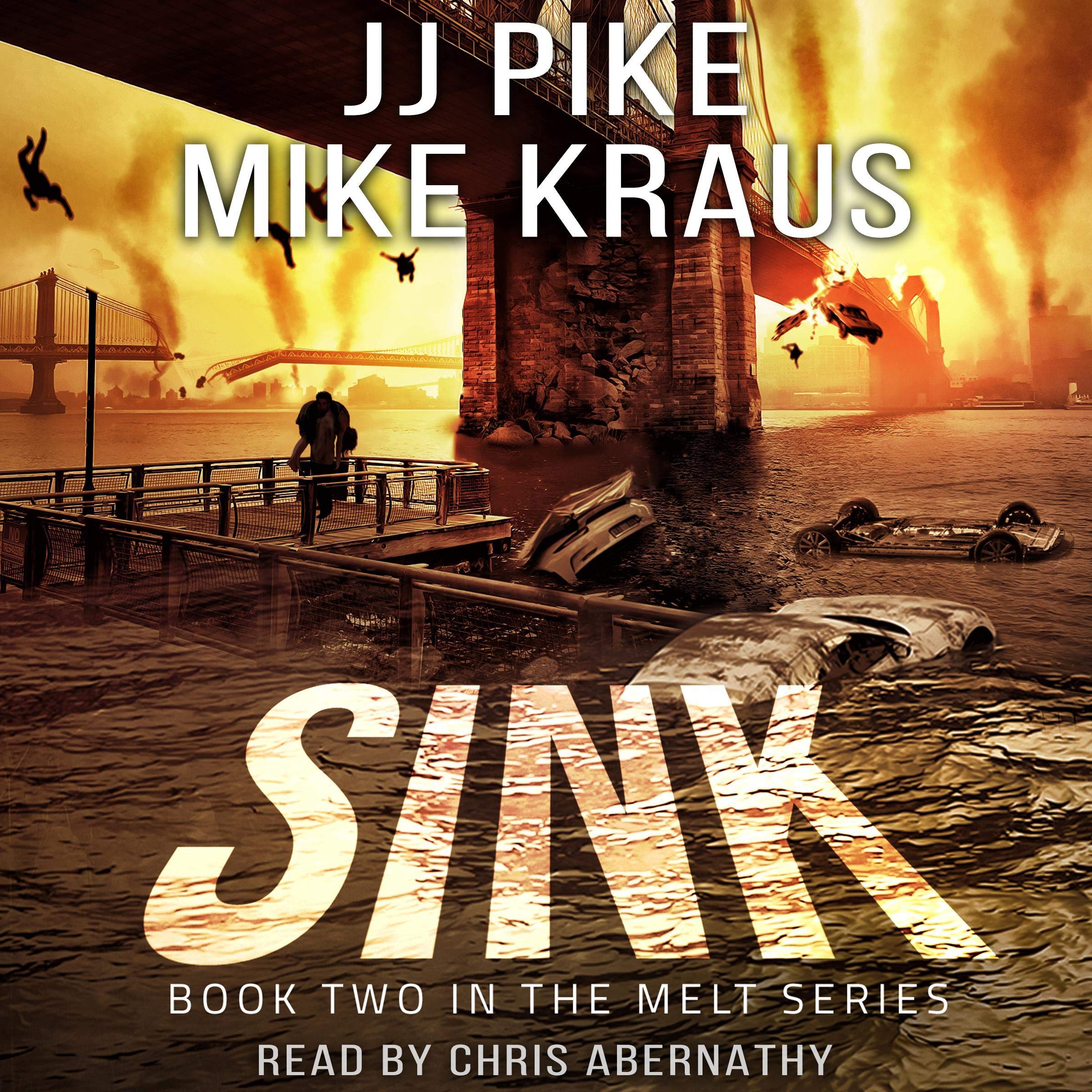 Cover art for Sink