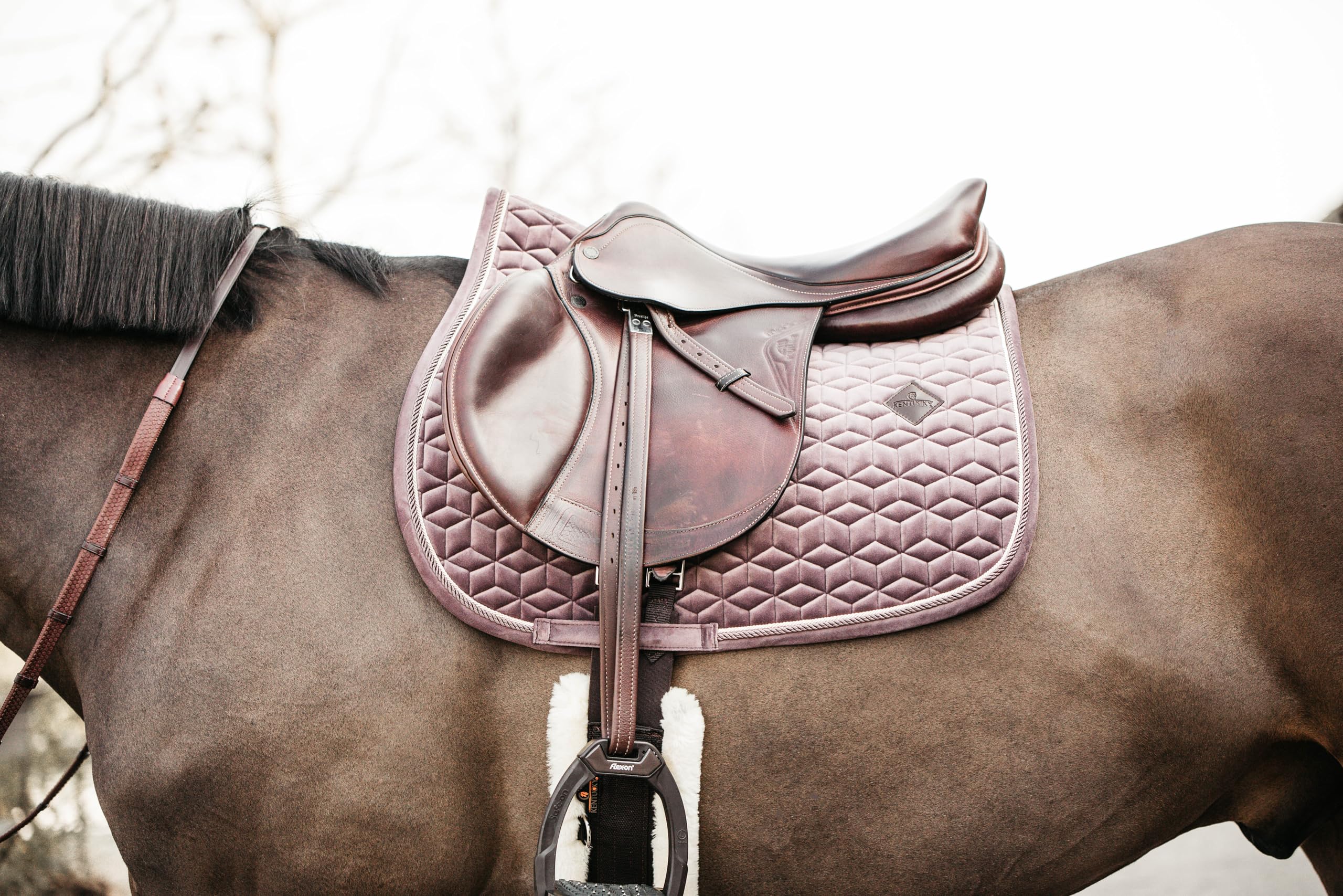 Kentucky Tapis de selle Velours violet clair