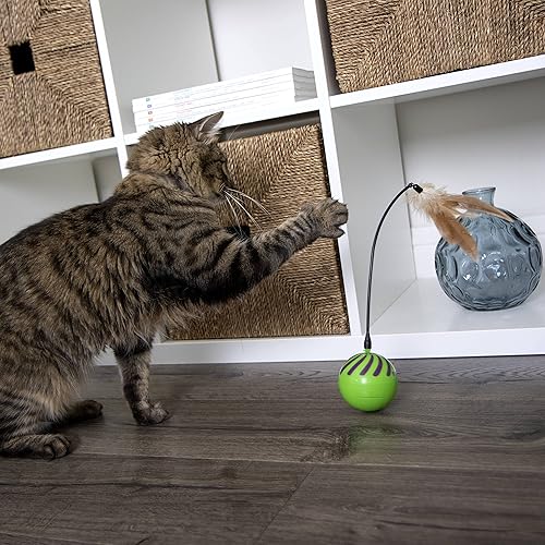 Vista 39 de SmartyKat Juguetes electrónicos de movimiento/movimiento para gatos y gatitos, funciona con pilas, imita el movimiento de la presa real, juego