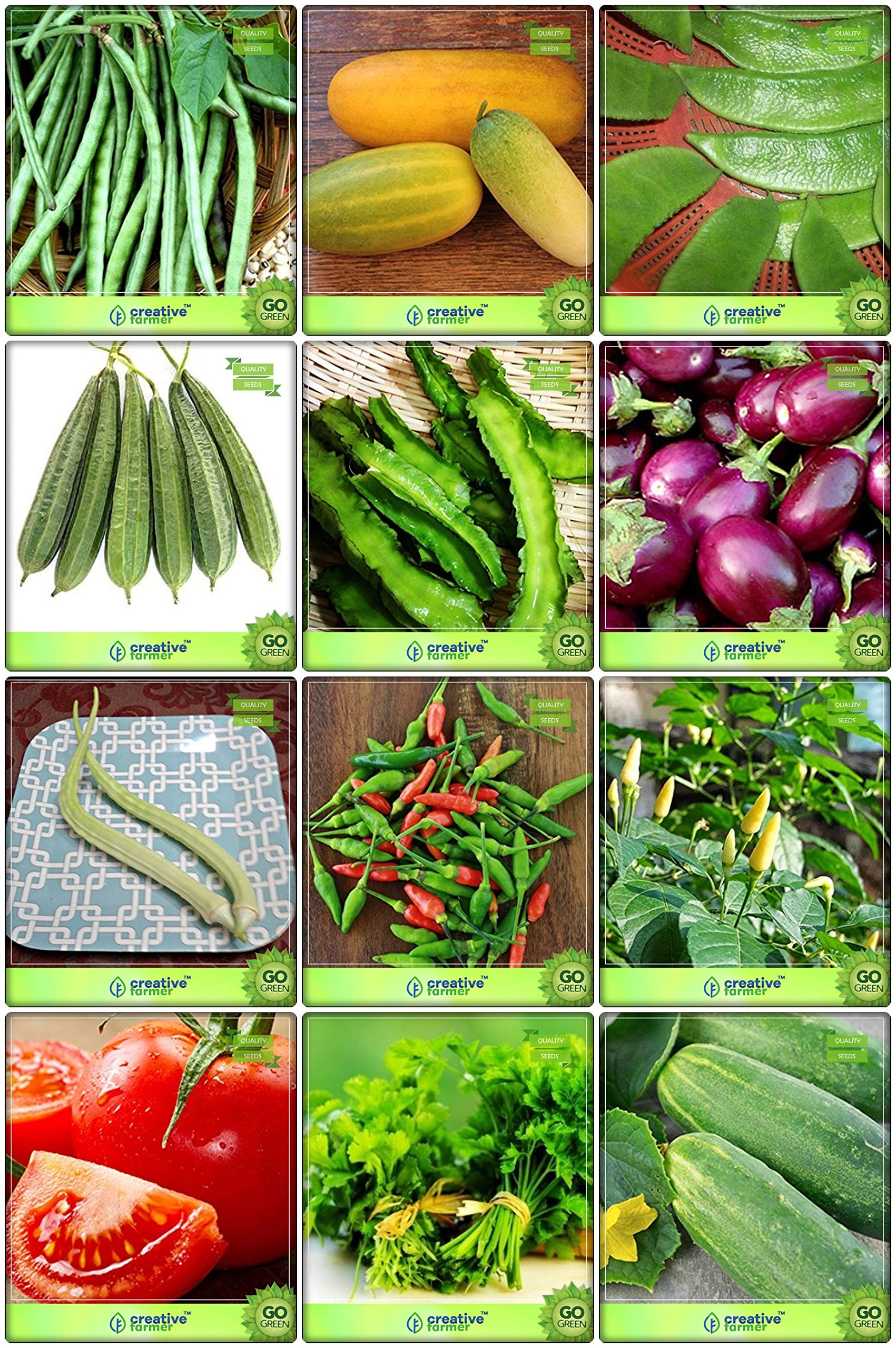 Creative Farmer Plant Seed Combo Vegetable Seeds : Cowpea (Anaswara), Cucumber Sambar, Dolichus Beans (Grace), Ridgegourd, Winged Bean(Revathy), Brinjal and Others -6 Packs