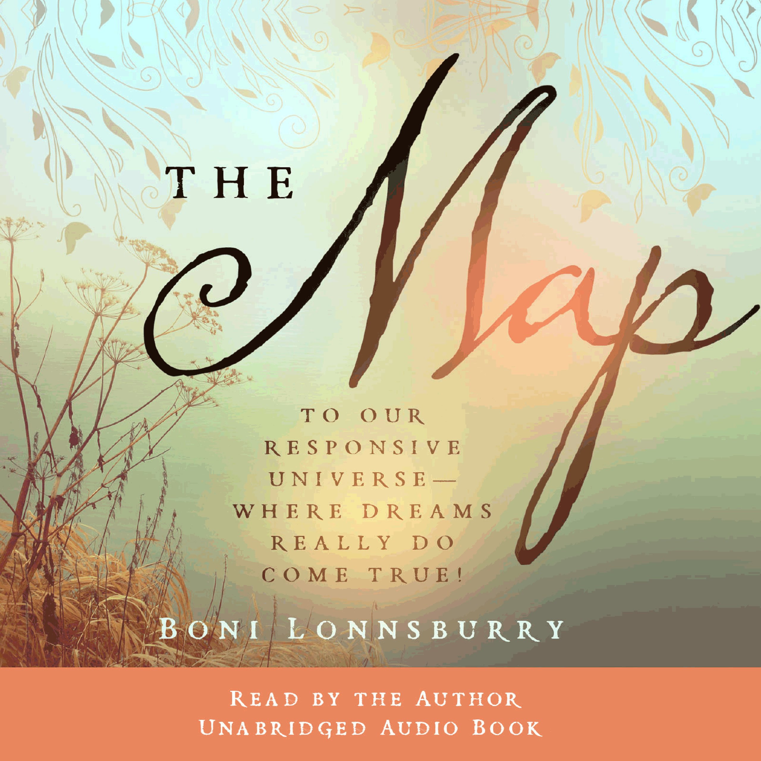 Cover art for The Map
