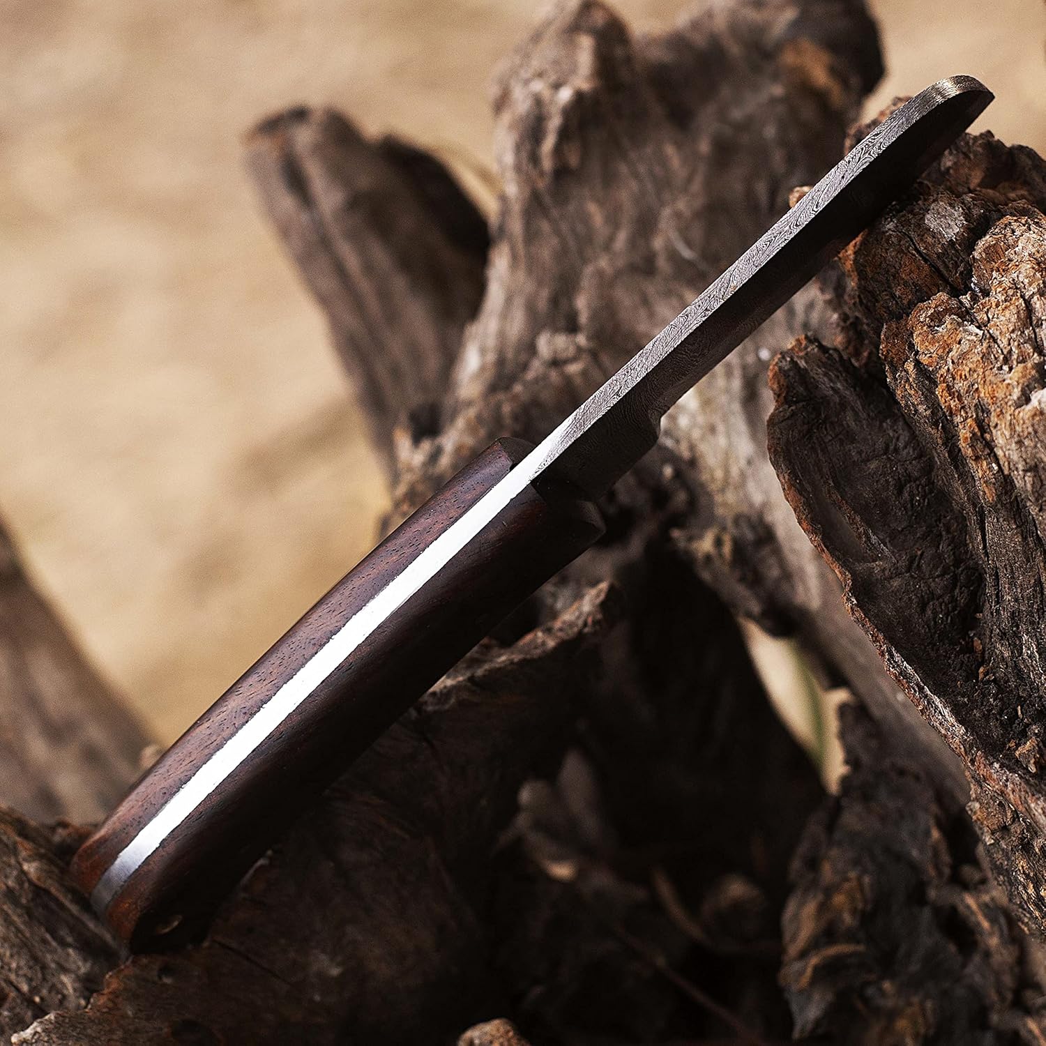 Custom Handmade Damascus steel Bull cutter knife, cowboy knives with pancake leather sheath (ROSE WOOD)