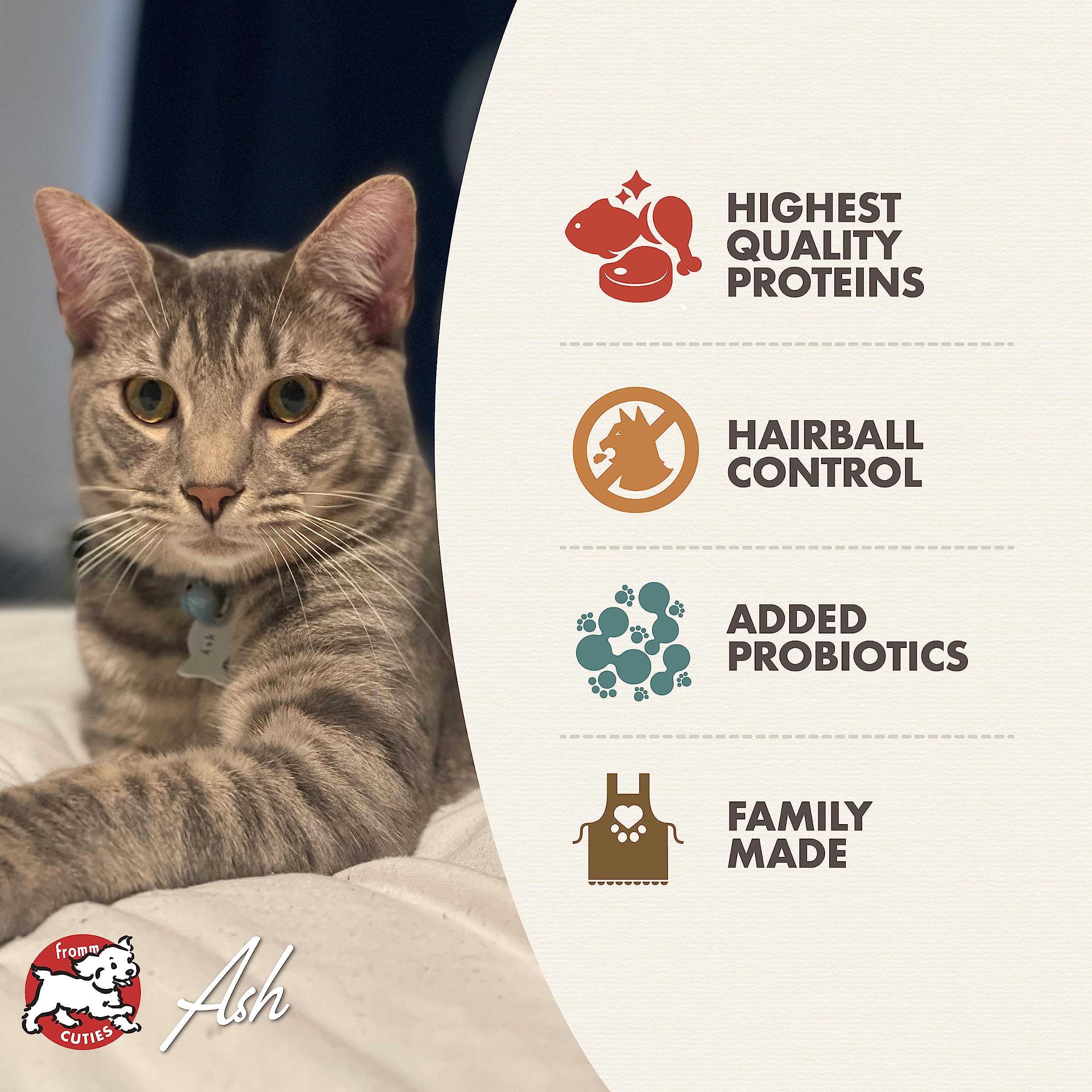 Aafco Gold Cat Food Fromm Kitten Gold Dry Cat Food Premium Cat