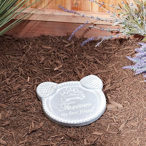 Miniatura 5 de Accent Plus Forever My Best Friend - Piedra de paso para perro