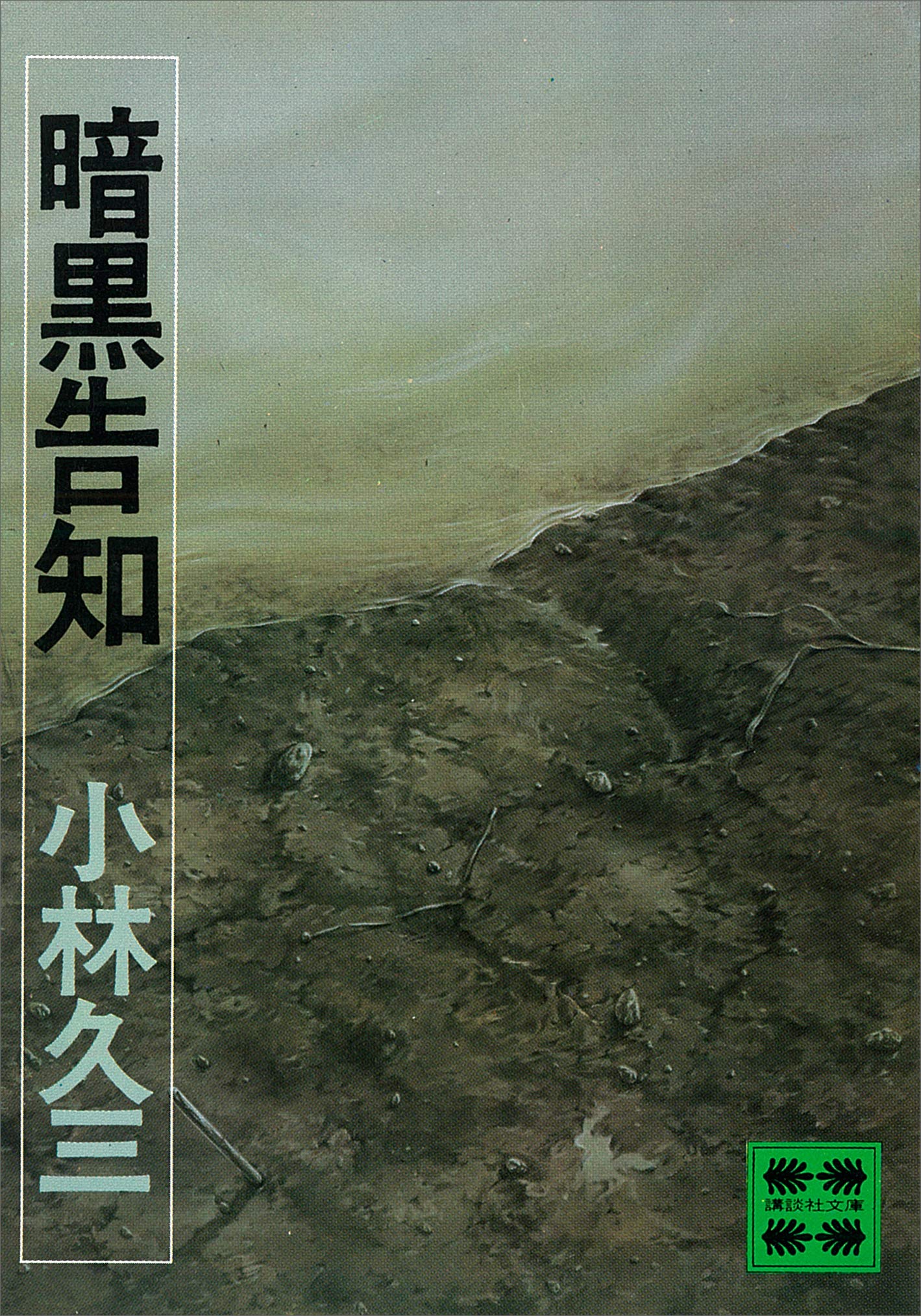 錆びた炎 （日文文庫） / 小林 久三 / 日本文芸社 Amazon.co.jp: 小林 久三: books, biography, latest update