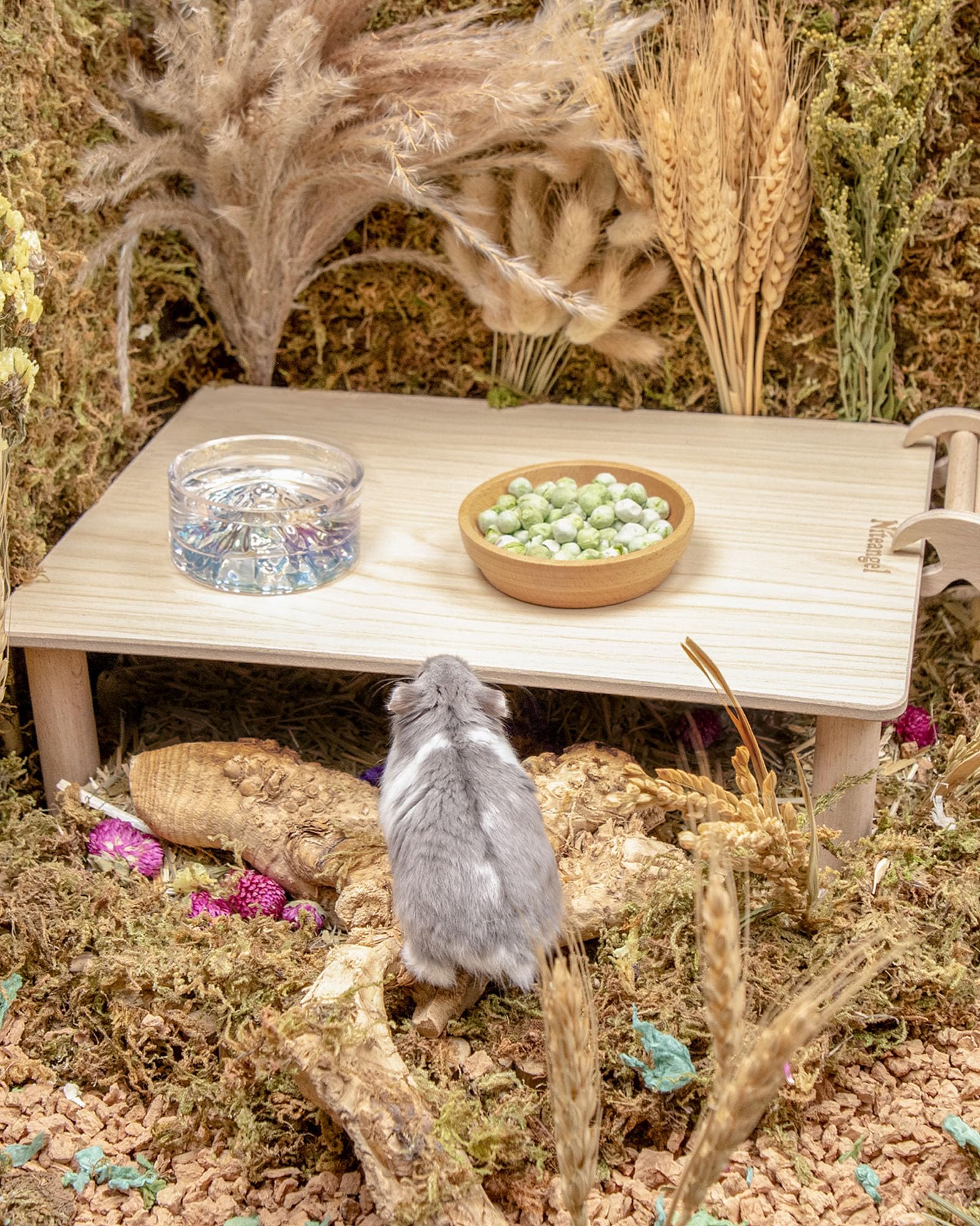 Niteangel Hamster Snack & Treats Toy - Image 4