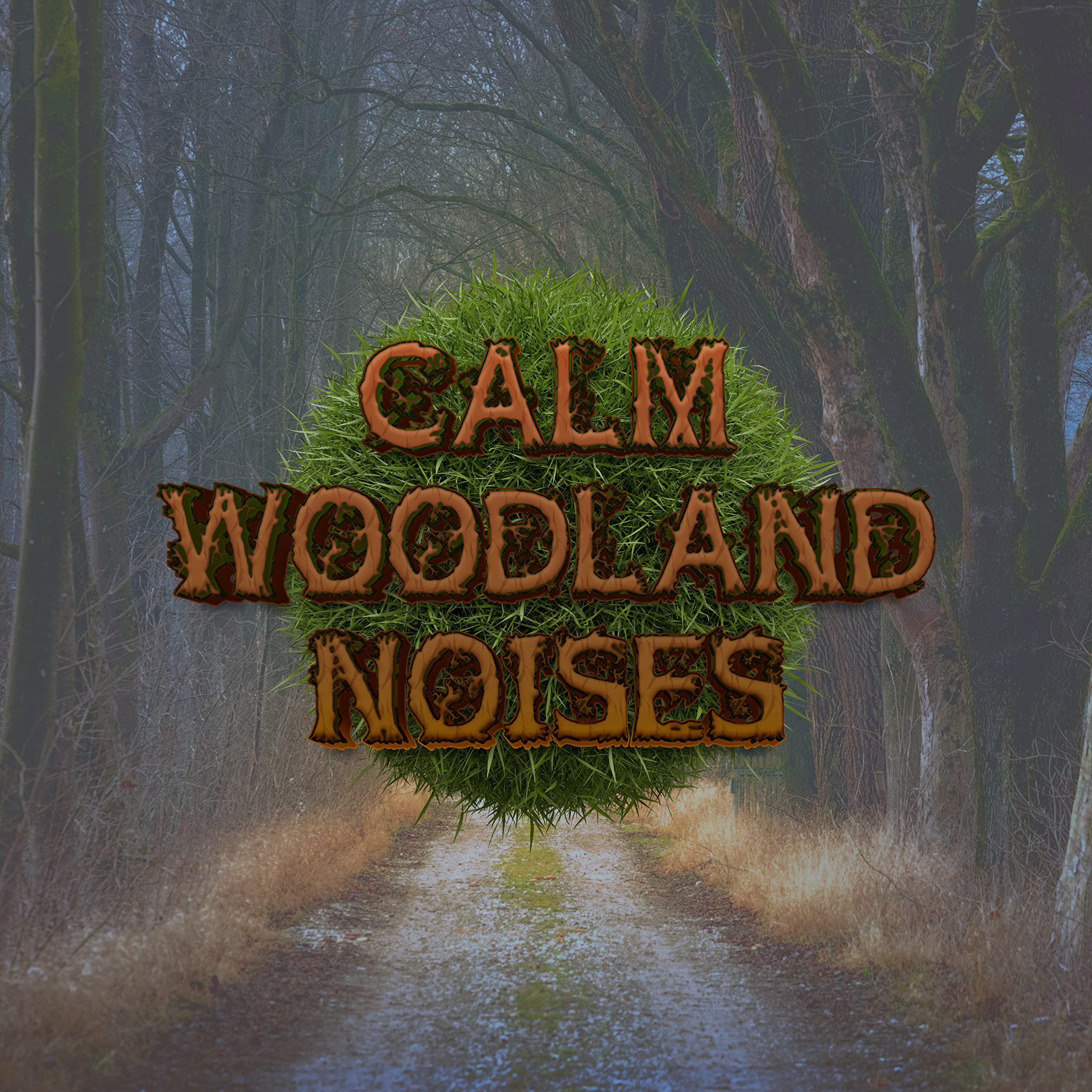 Calm Woodland Noises