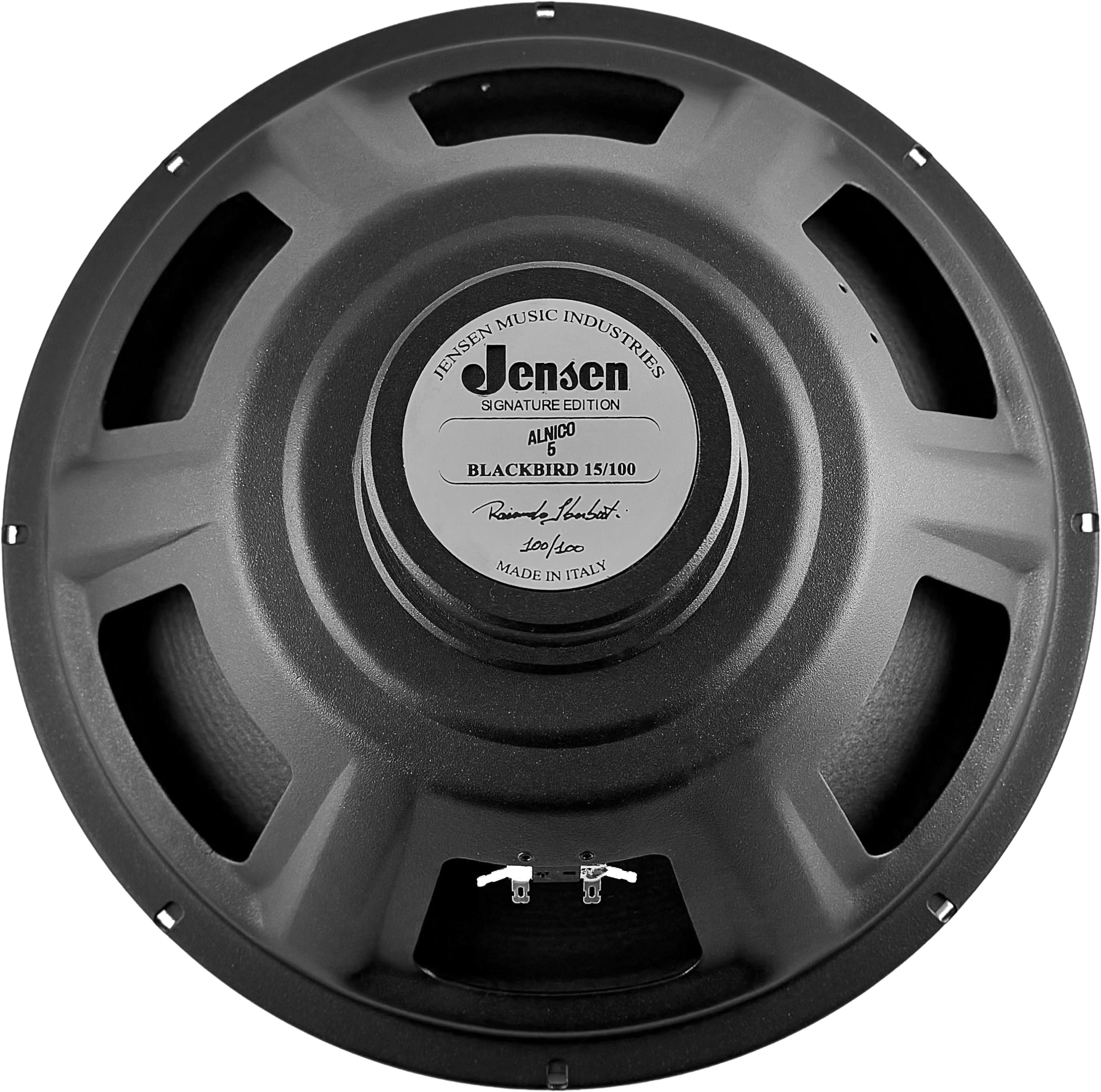 Amazon.com: Jensen Jets Blackbird Signature Edition 15