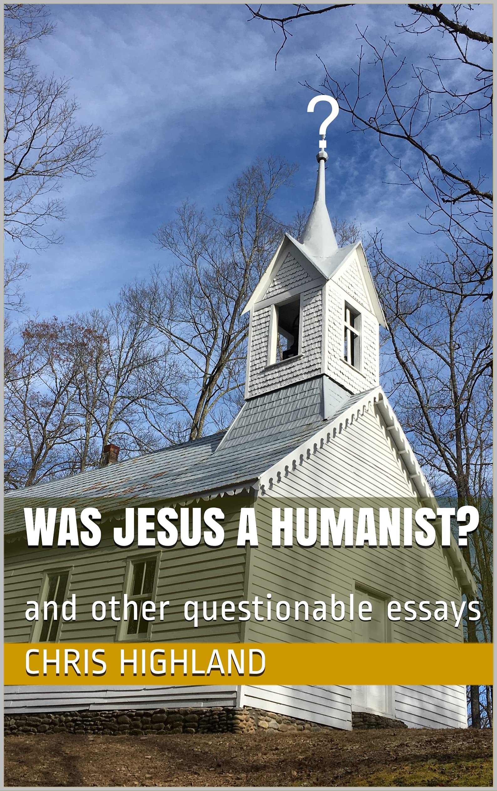 Was Jesus a Humanist?: and other questionable essays