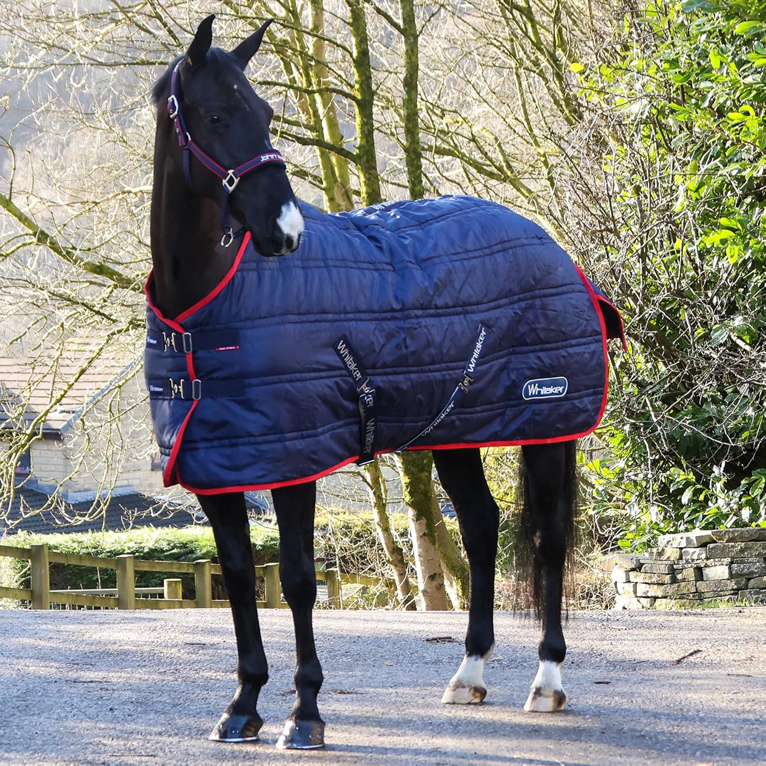 Whitaker Rastrick V2 Standard-Neck 100g Horse Stable Rug