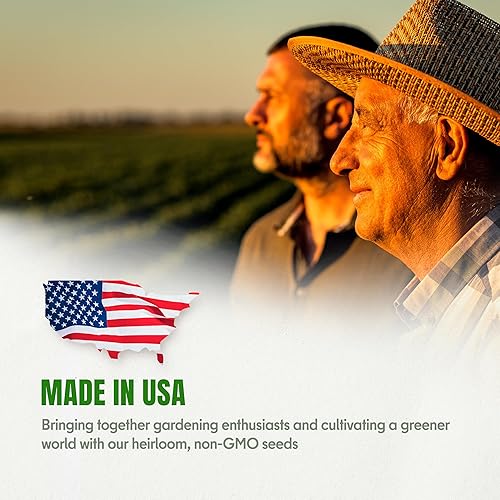 Miniatura 2 de Semillas de romero  Más de 100 personas sin OMG herencia cultivadas en Estados Unidos  Hierba culinaria aromática y hoja perenne fragante, apta para