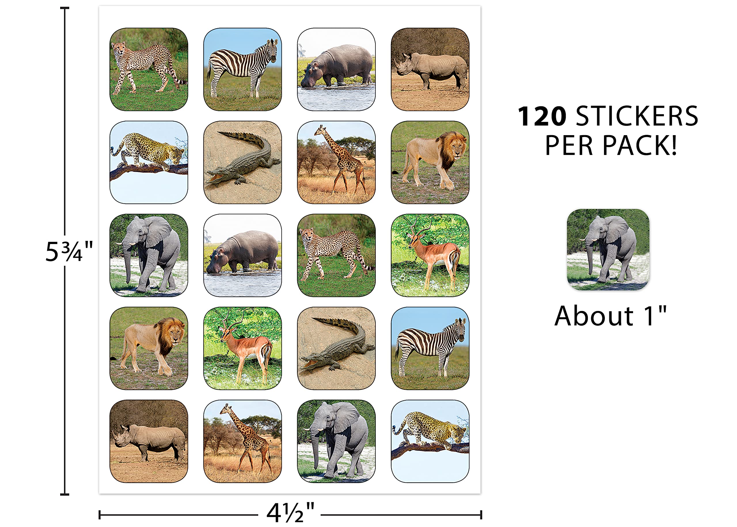 Teacher Created Resources 5468 Adesivos Para Animais De Safári Com O