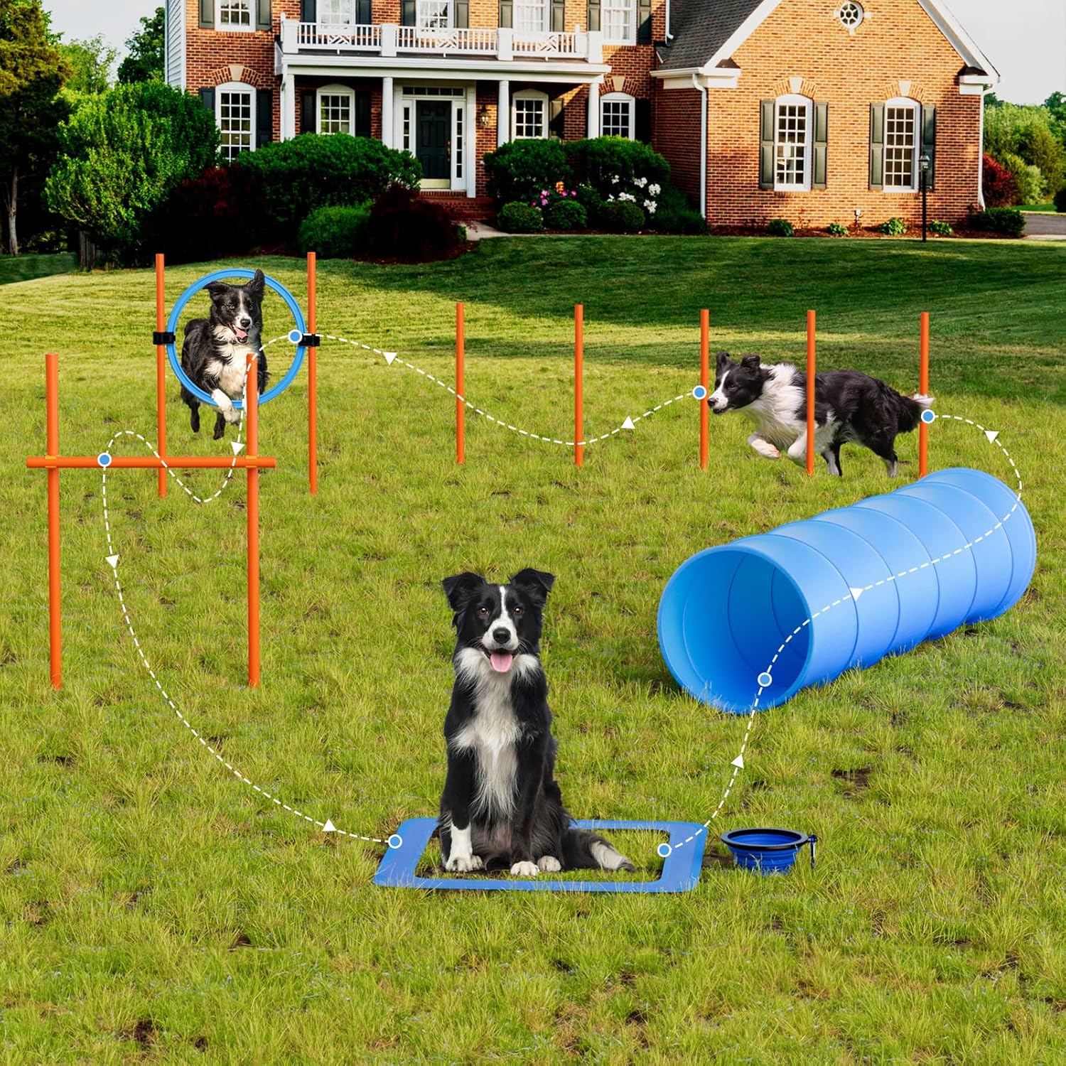 Accessoires du set X XBEN pour chiens